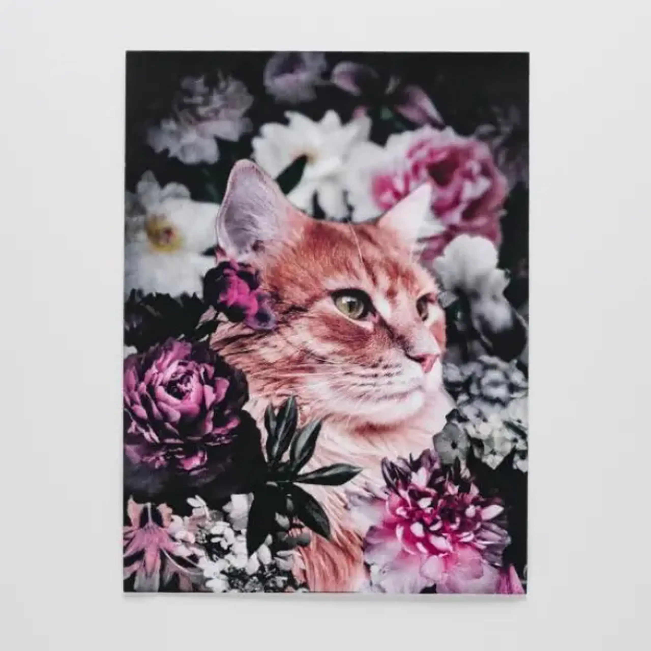Tablou CATTIE
