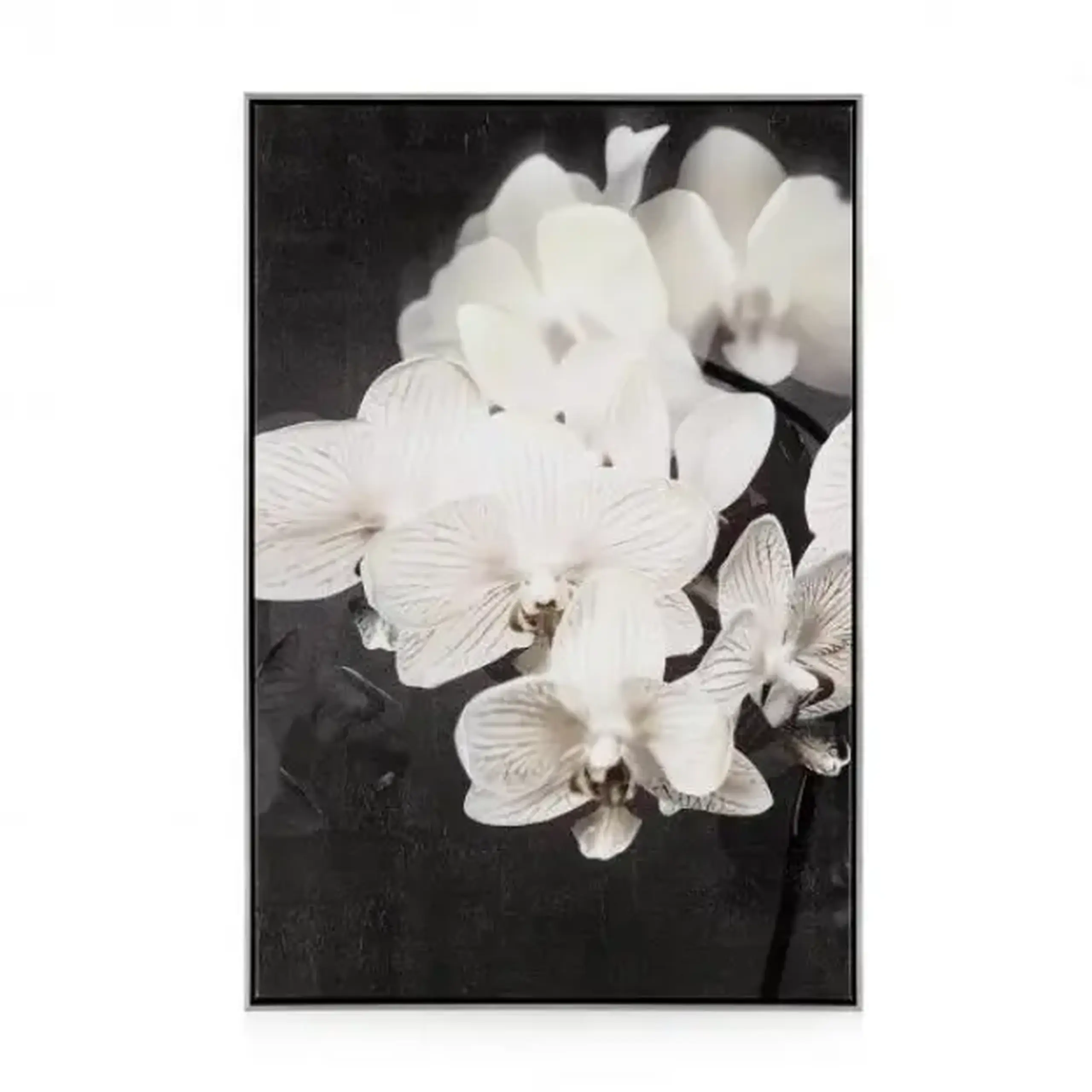 Tablou ORCHIDES
