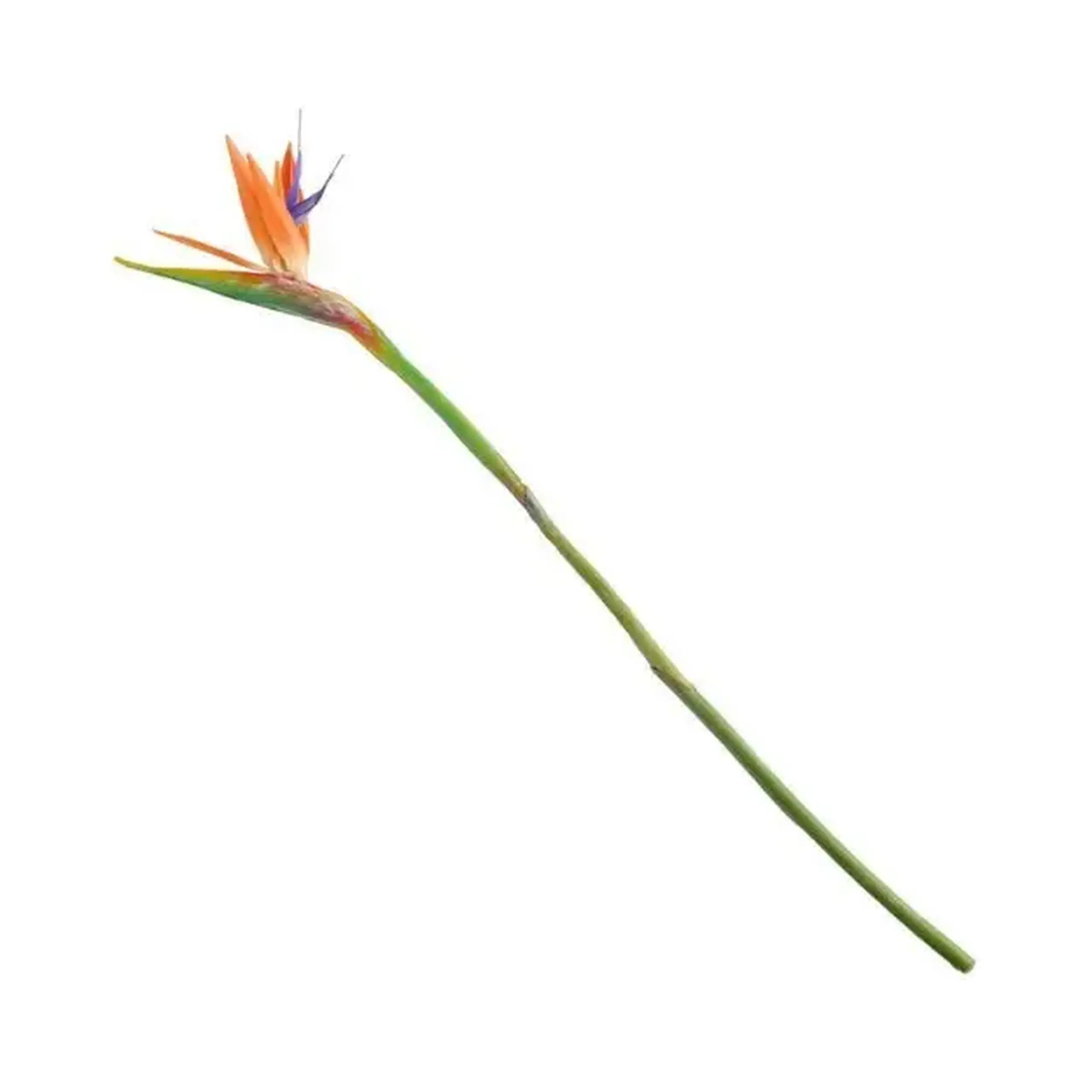 Floare artificială STRELITIO
