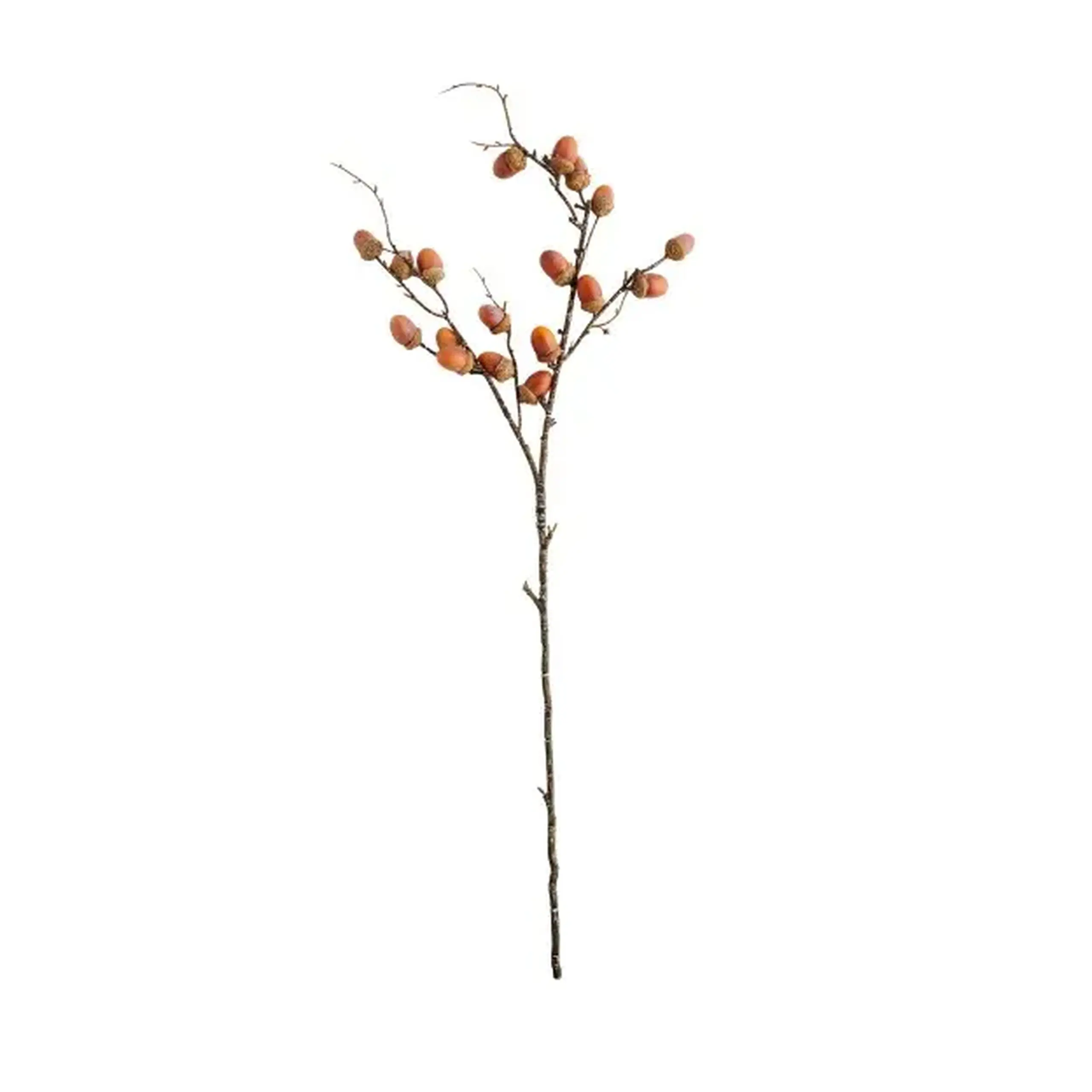 Crenguta decorativa EKOLLON