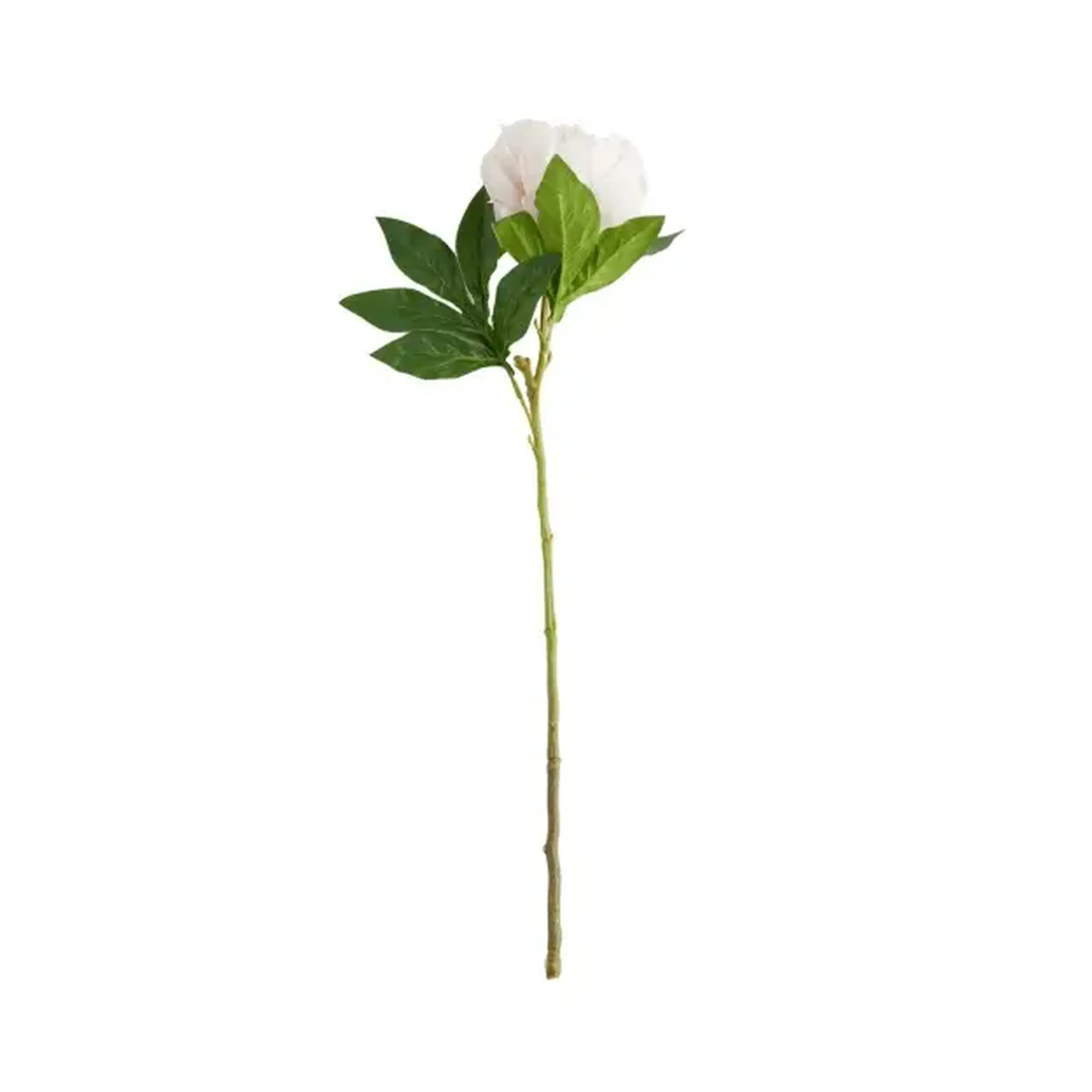 Crenguță decorativă PEONIO