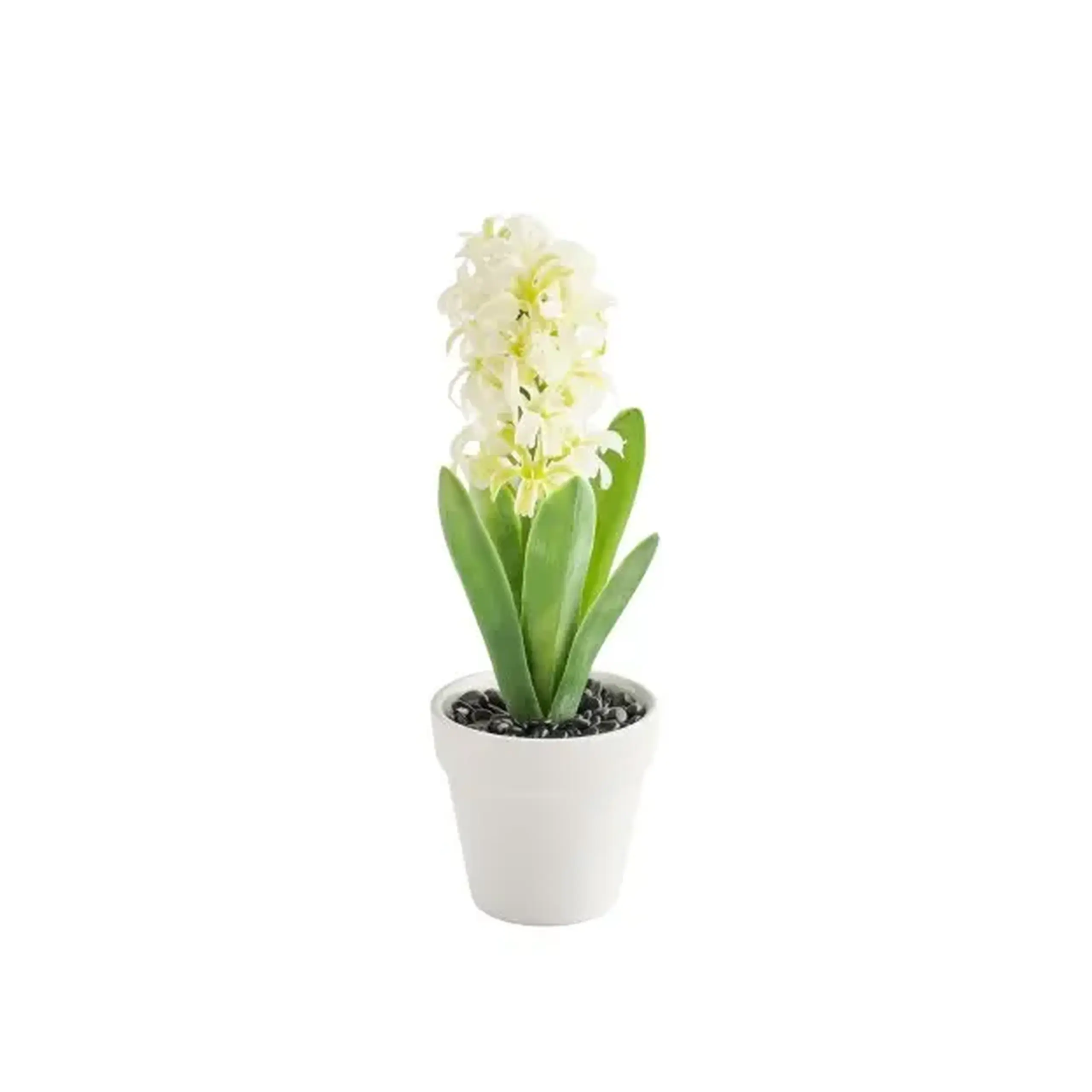 Compoziție florală MOSSELLE