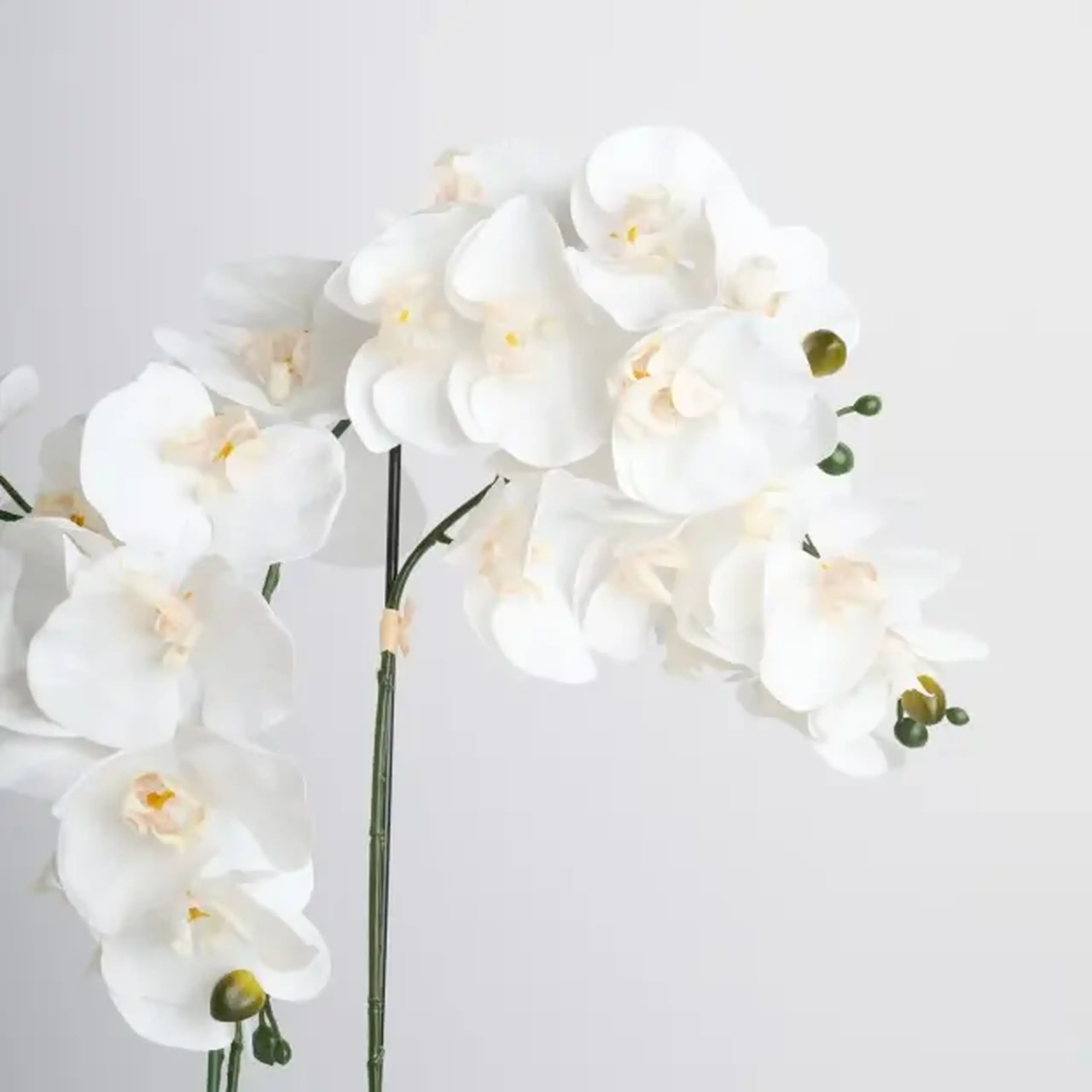 Compoziție florală ORCHIANUM BIG