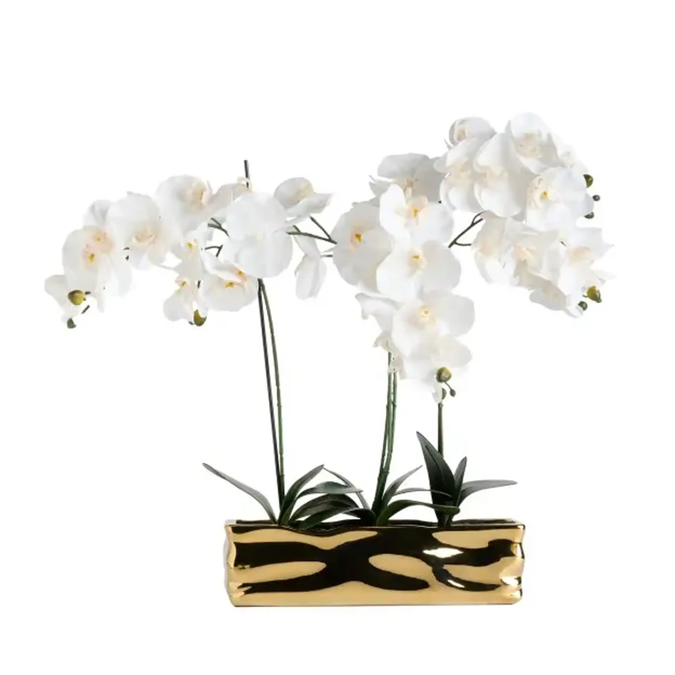 Compoziție florală ORCHIANUM BIG