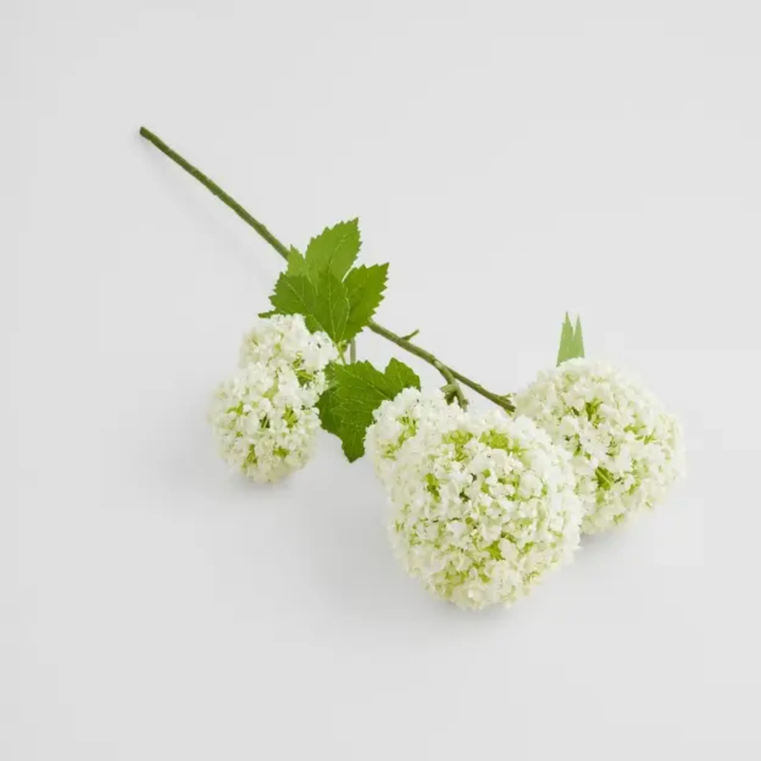 Crenguță decorativă SEROSA