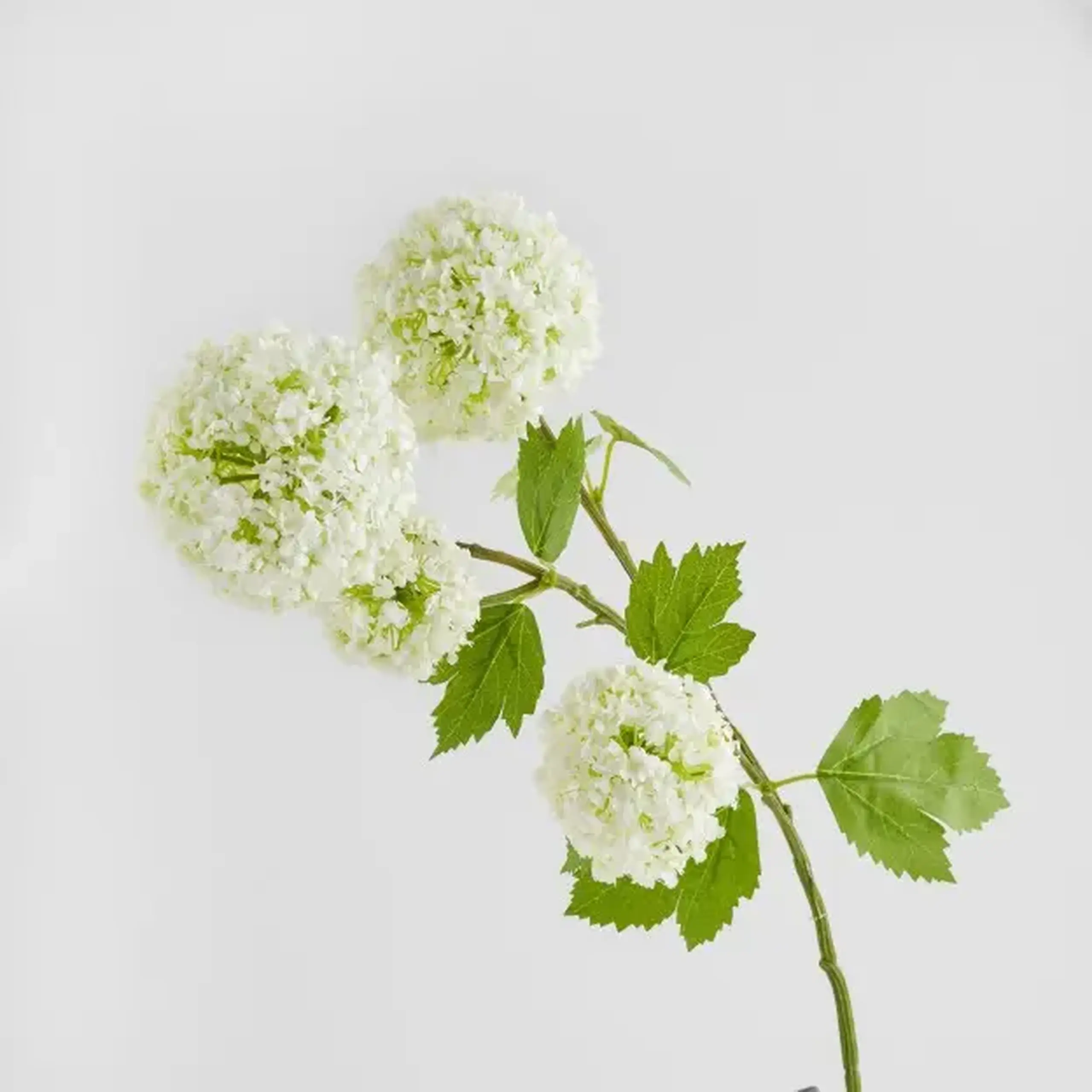 Crenguță decorativă SEROSA