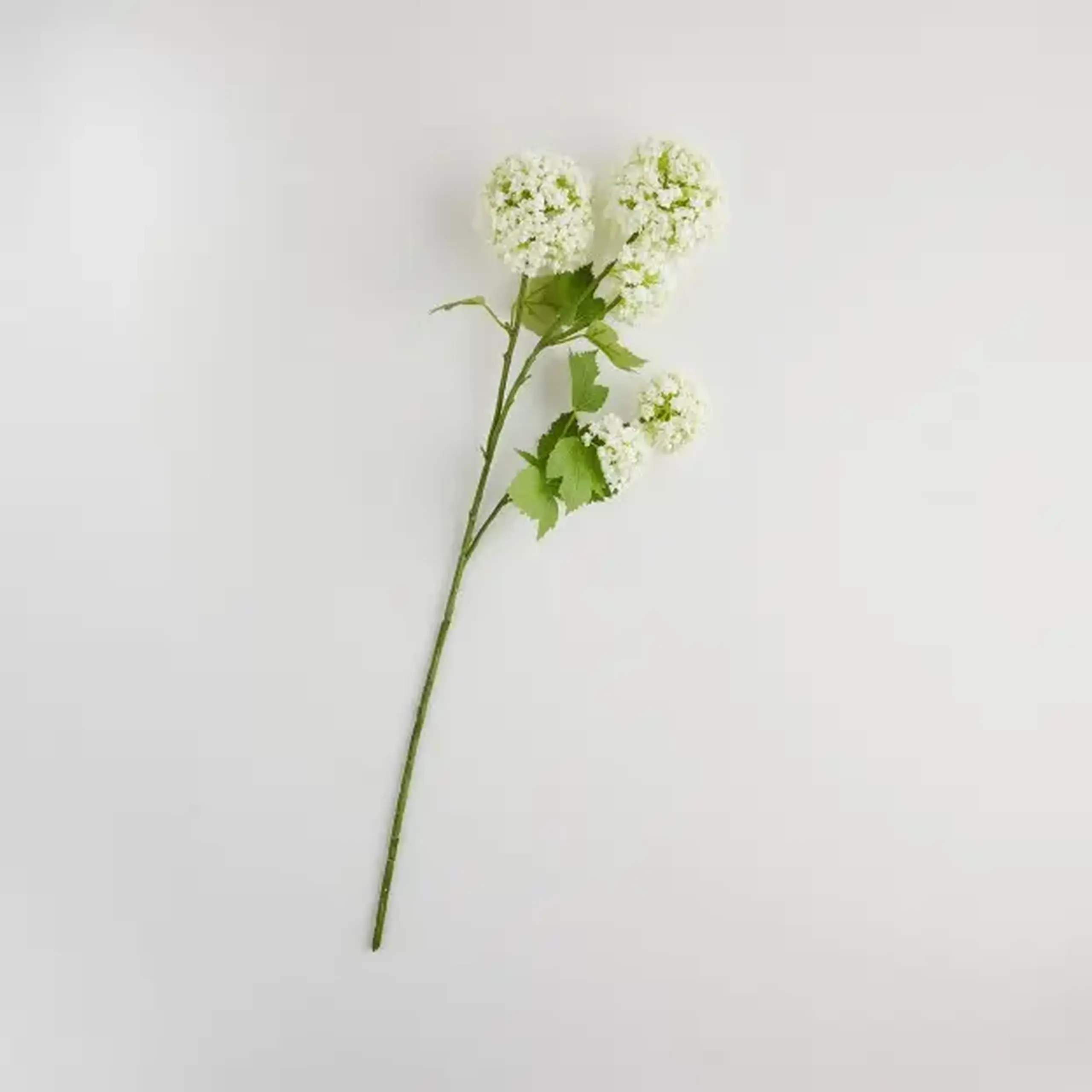 Crenguță decorativă SEROSA