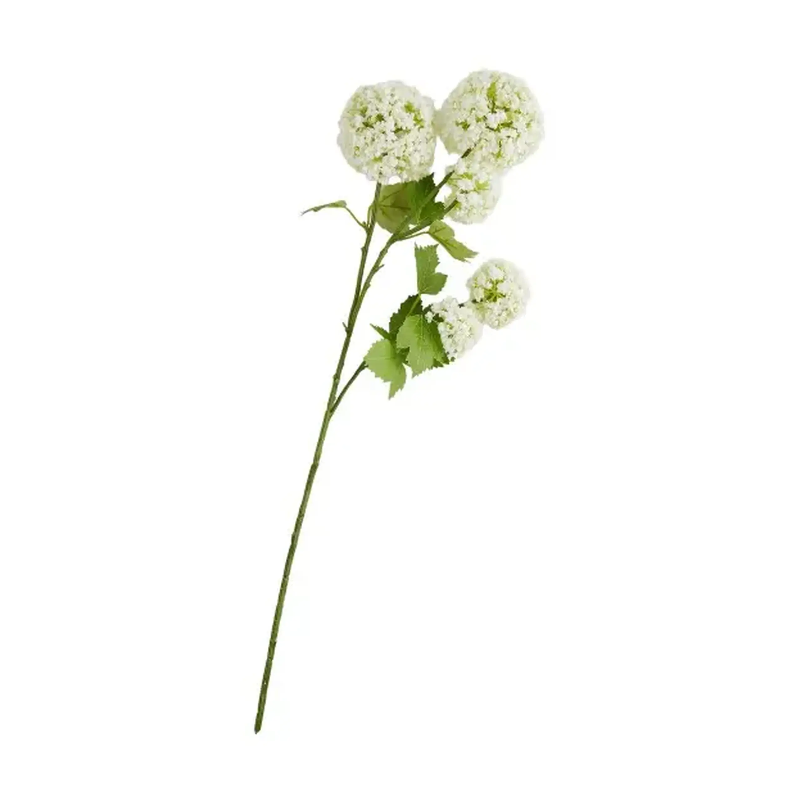 Crenguță decorativă SEROSA