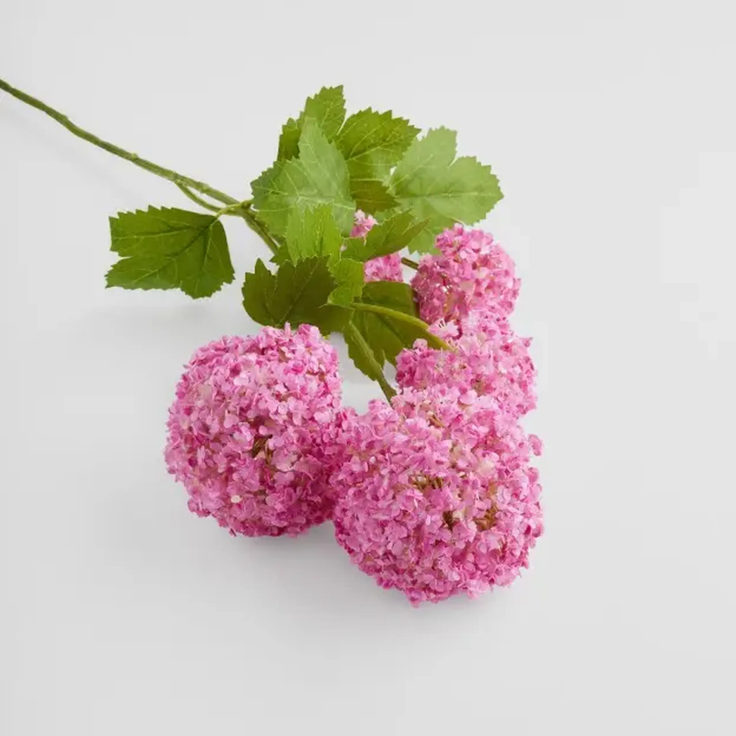 Crenguță decorativă SEROSA