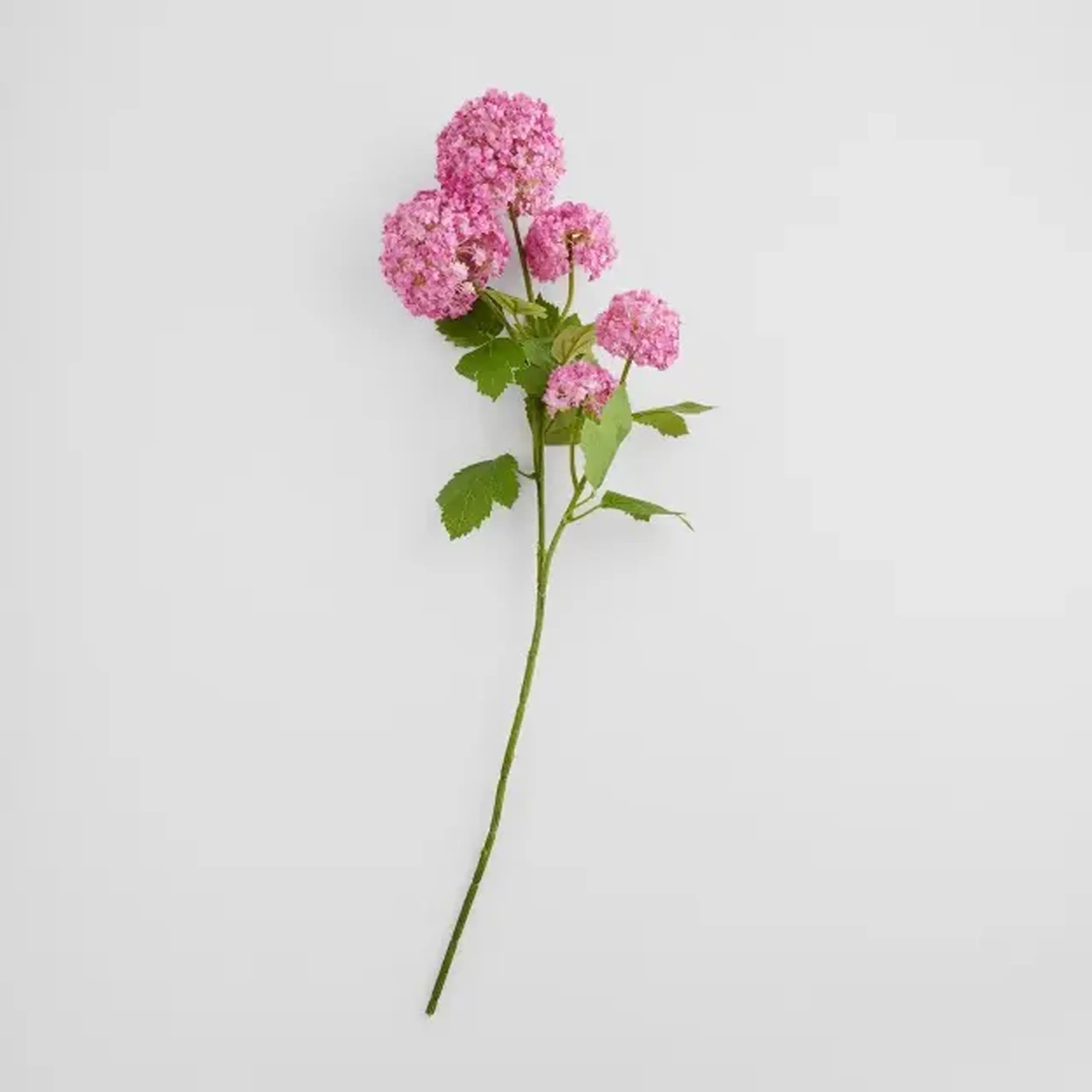 Crenguță decorativă SEROSA
