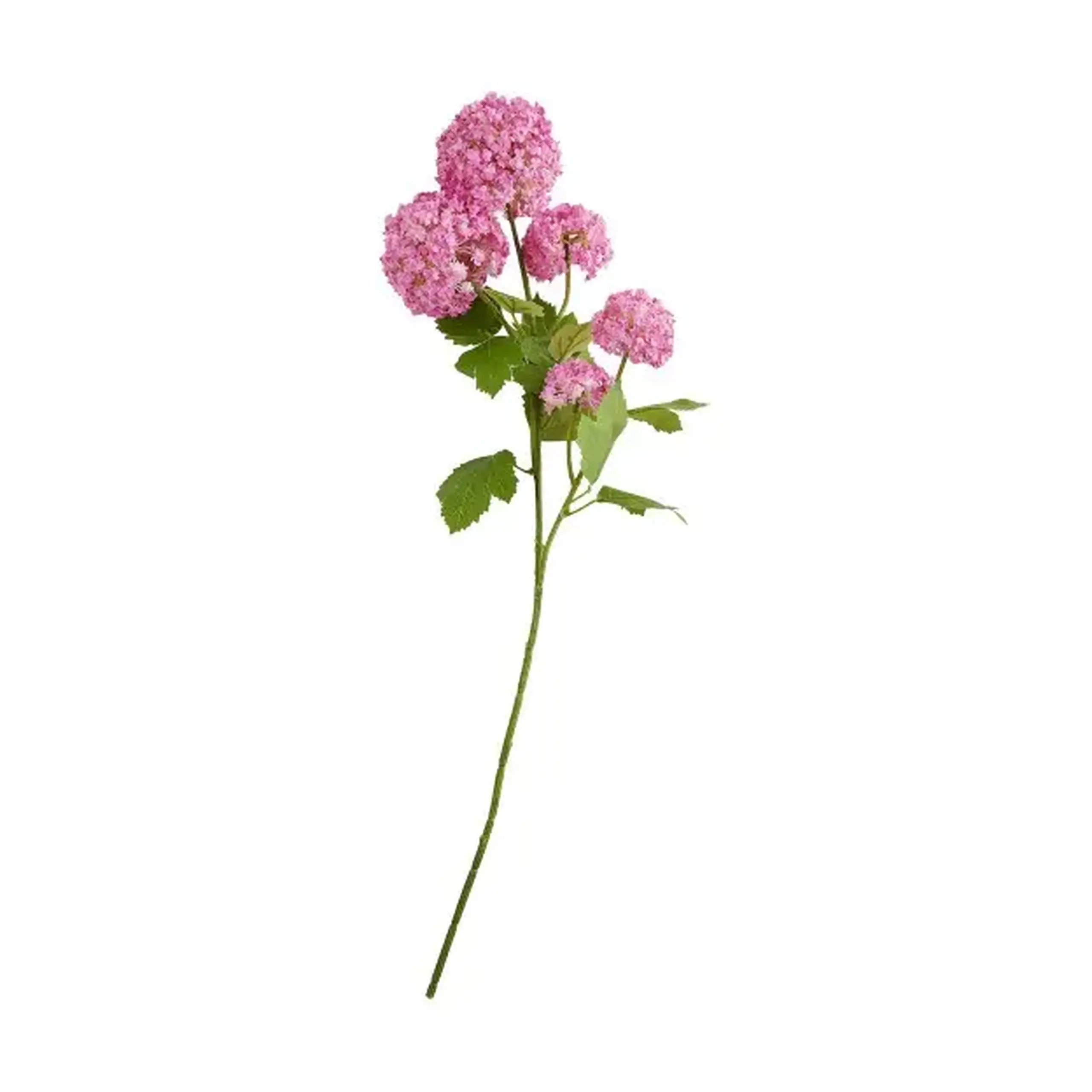 Crenguță decorativă SEROSA
