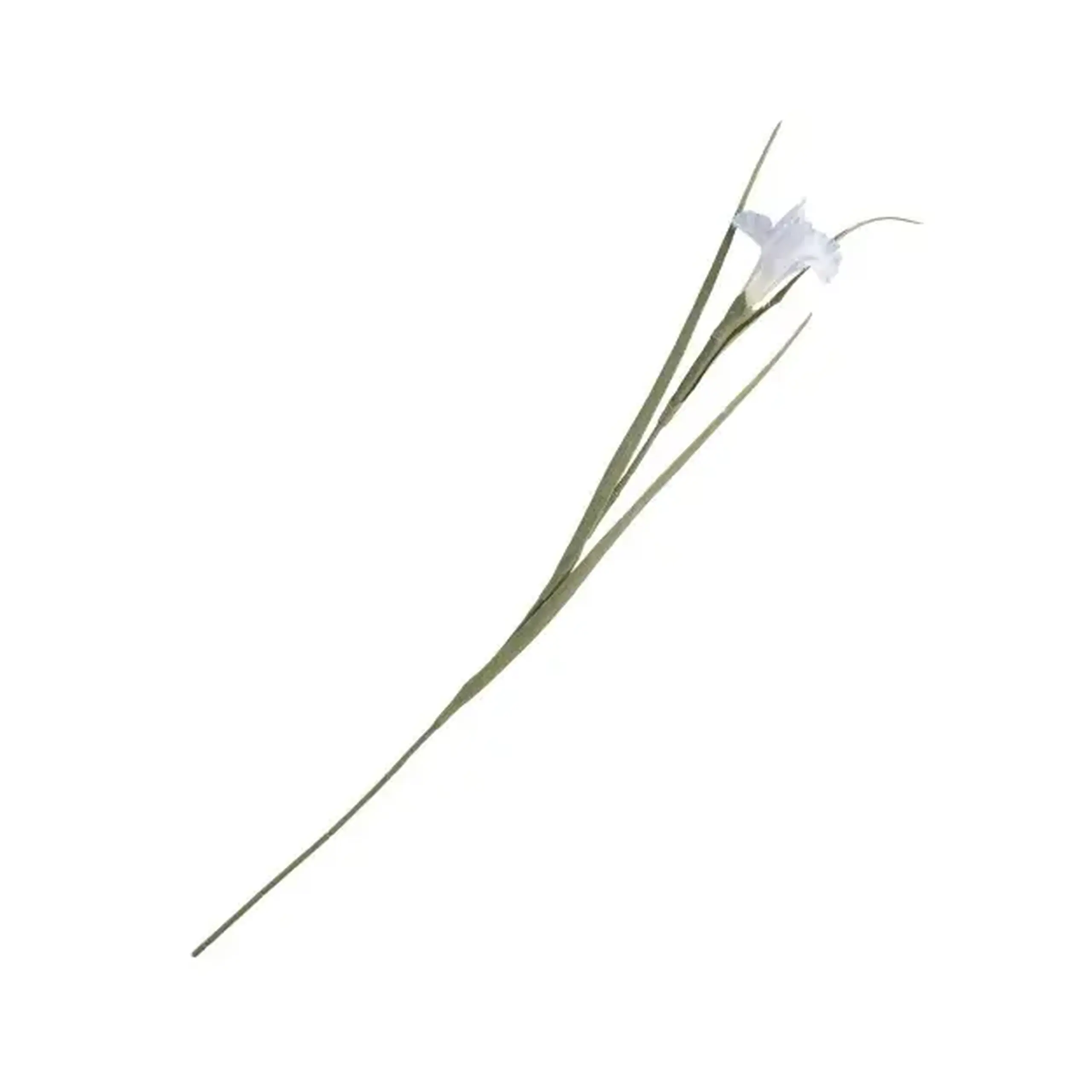 Crenguță decorativă IRISO