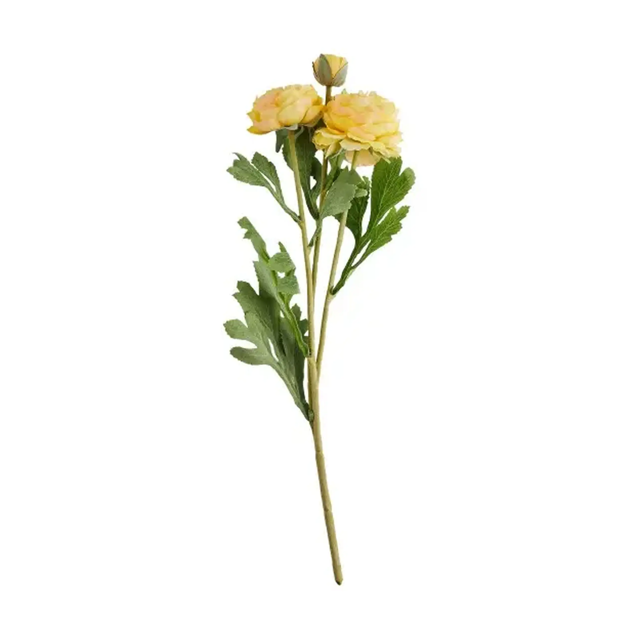 Crenguță decorativă RAMOSO