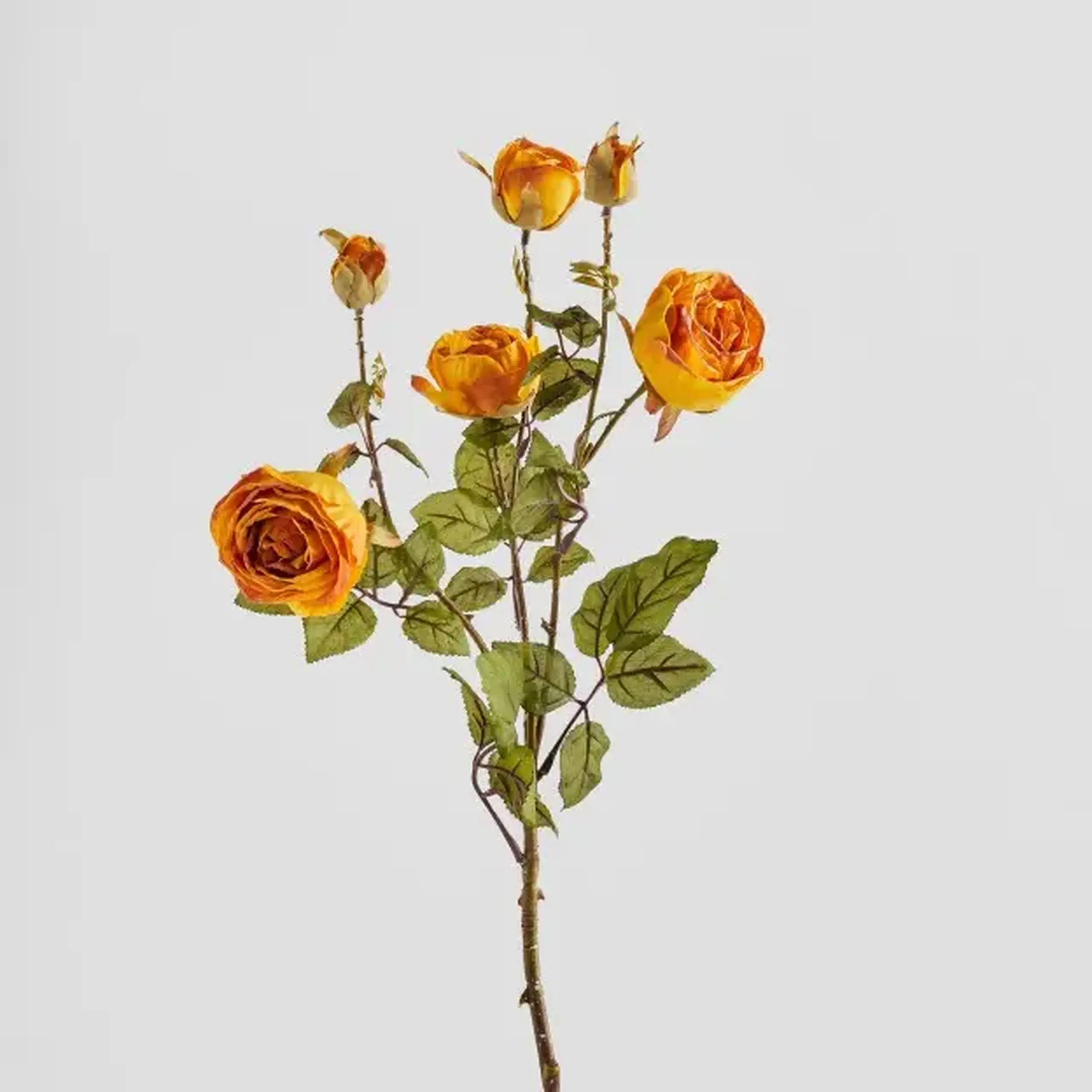 Crenguță decorativă ROSESO