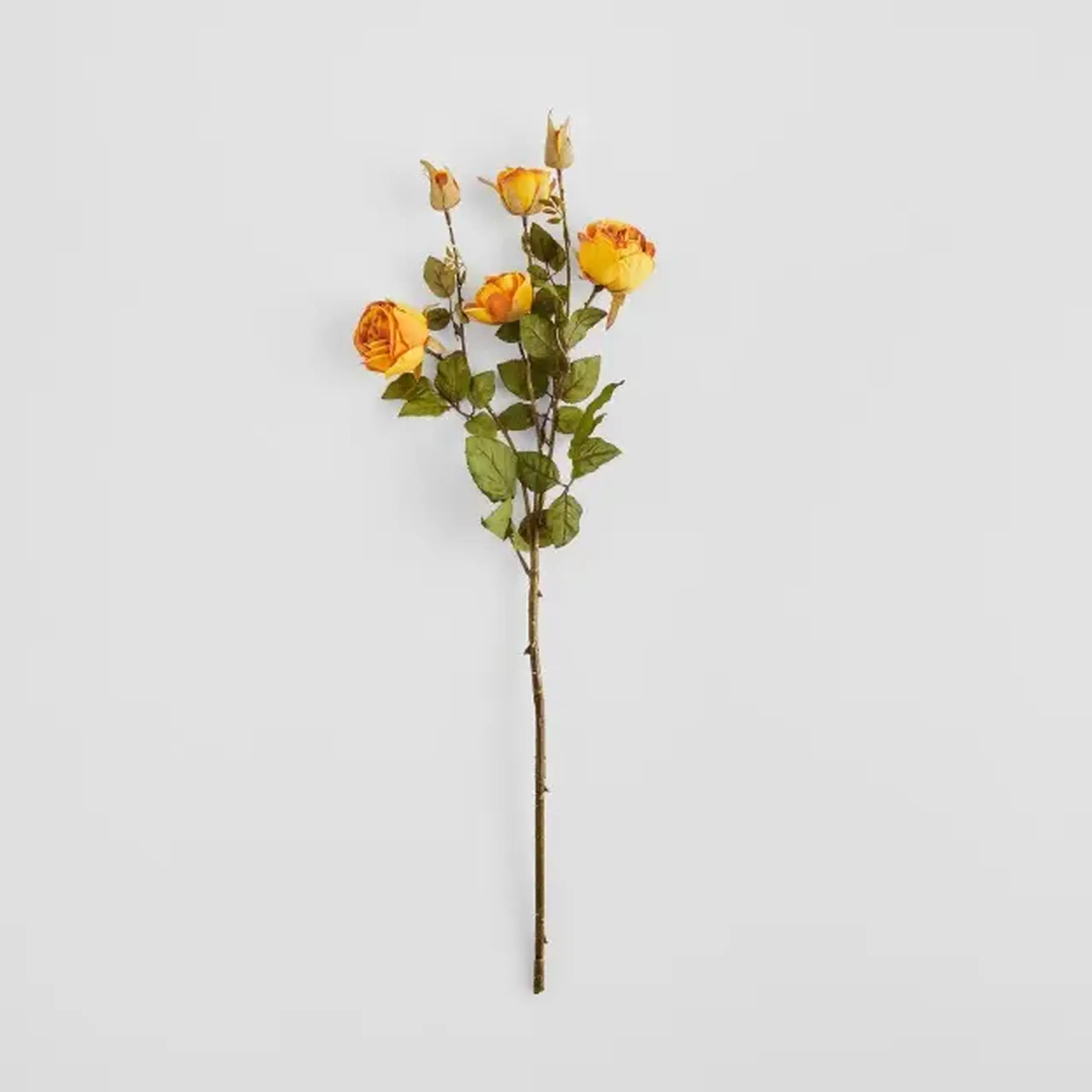 Crenguță decorativă ROSESO