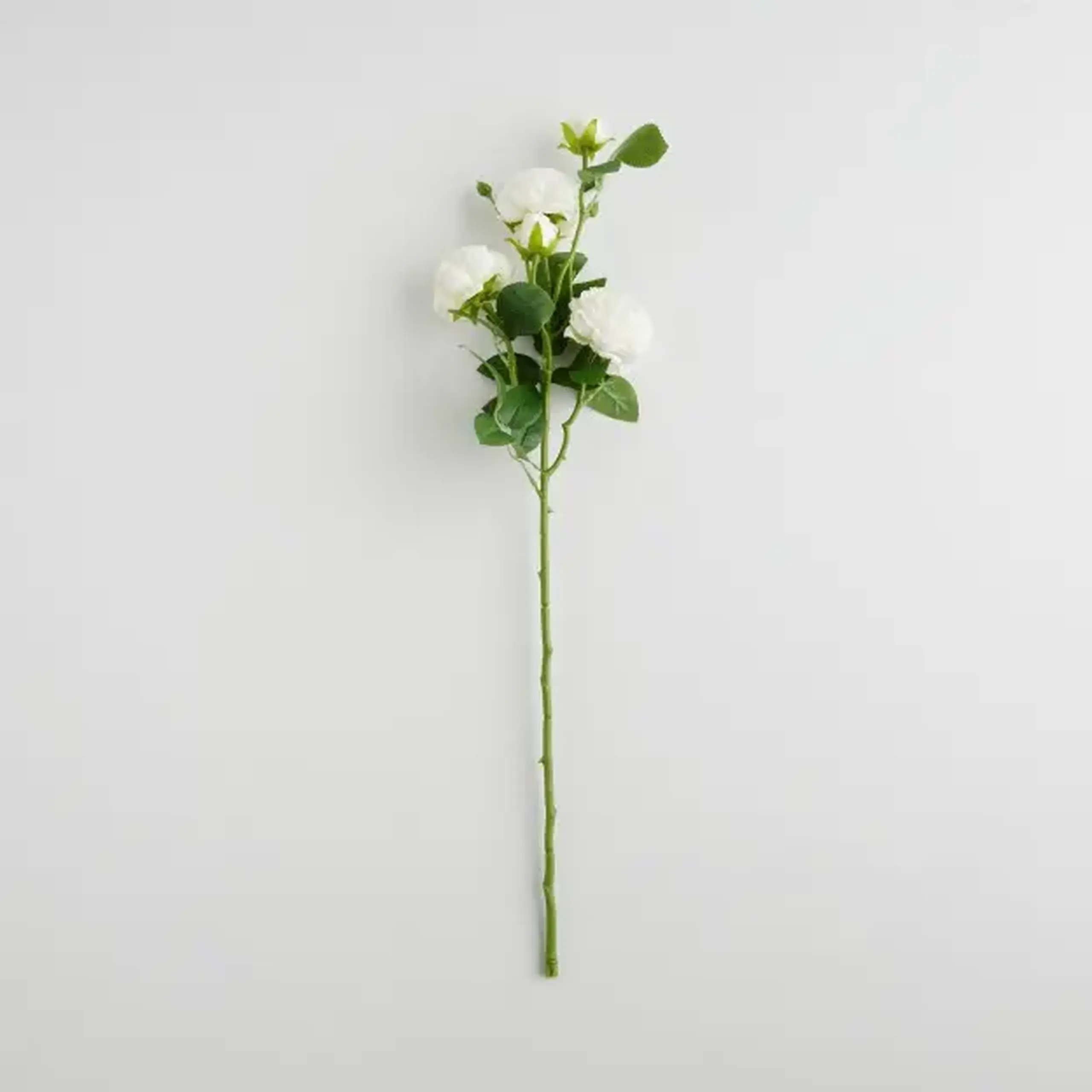 Crenguță decorativă PEONI