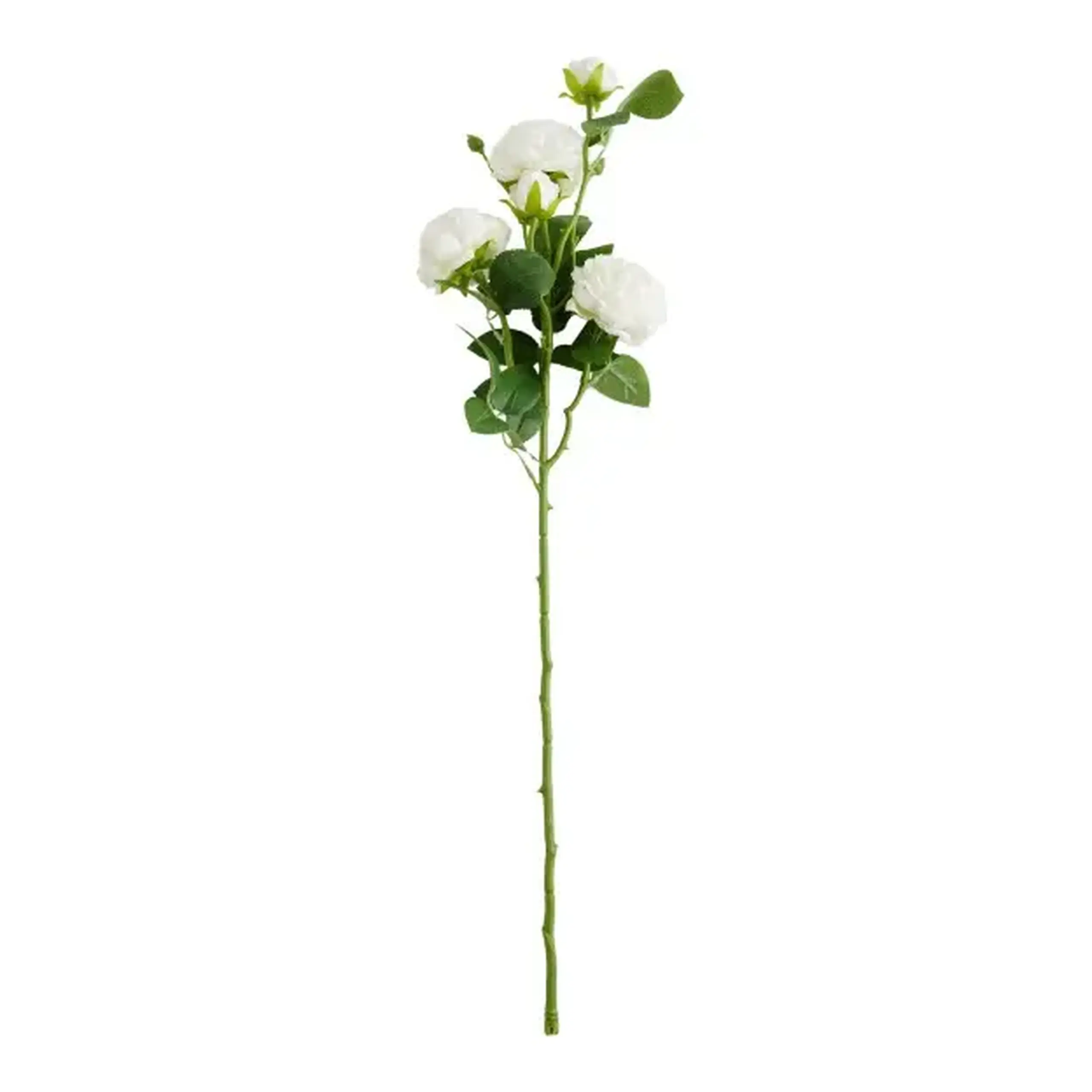 Crenguță decorativă PEONI