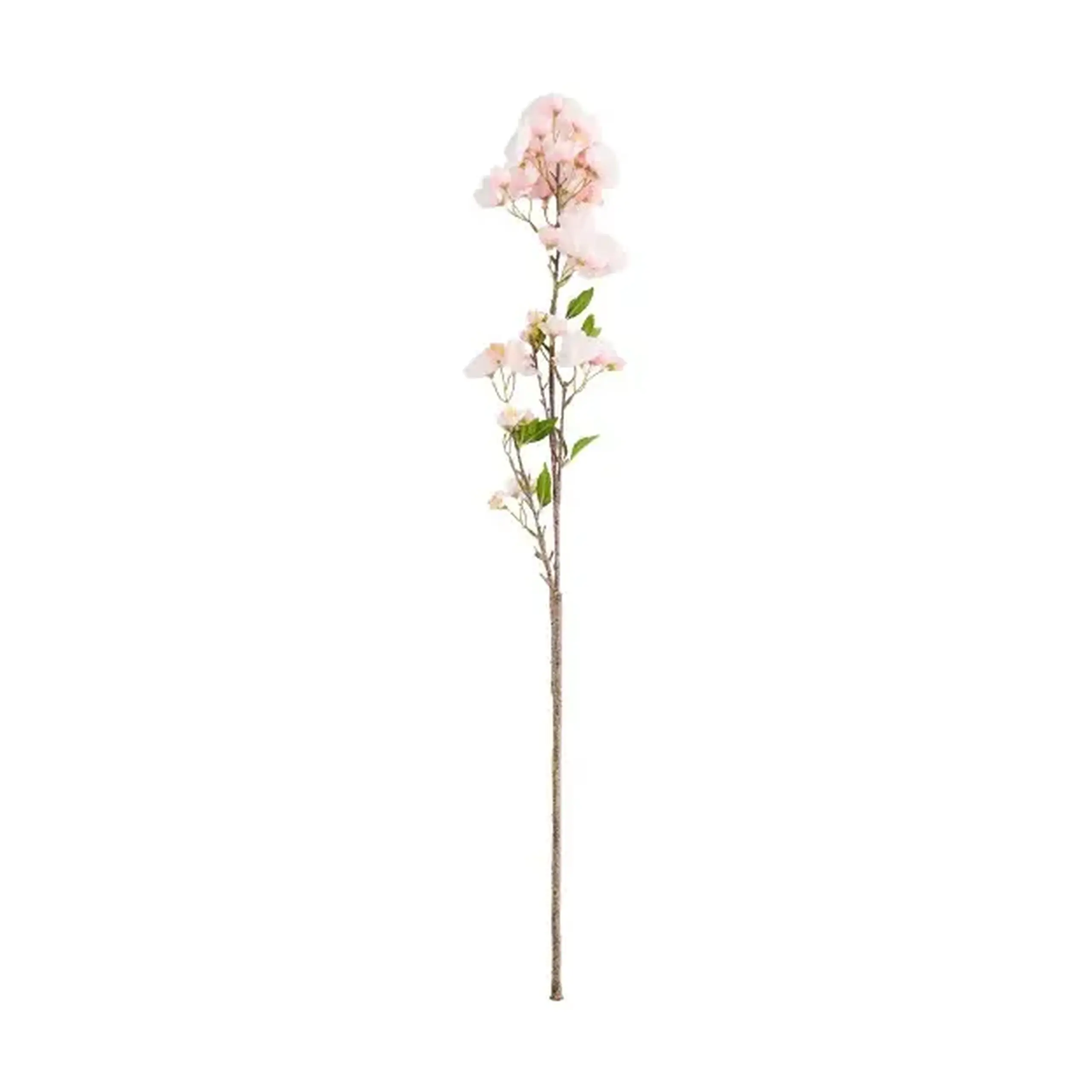 Crenguță decorativă CEREZO