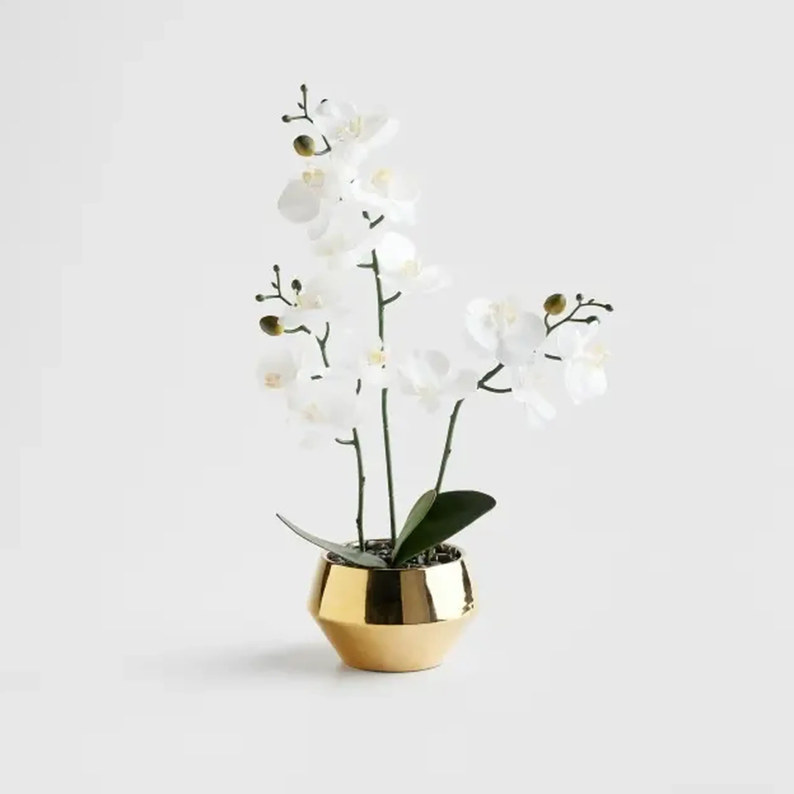 Compoziție florală ORCHITIO
