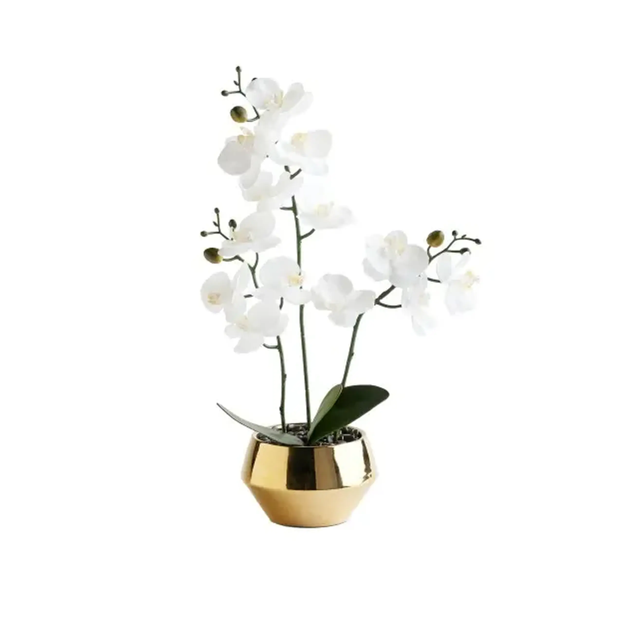 Compoziție florală ORCHITIO