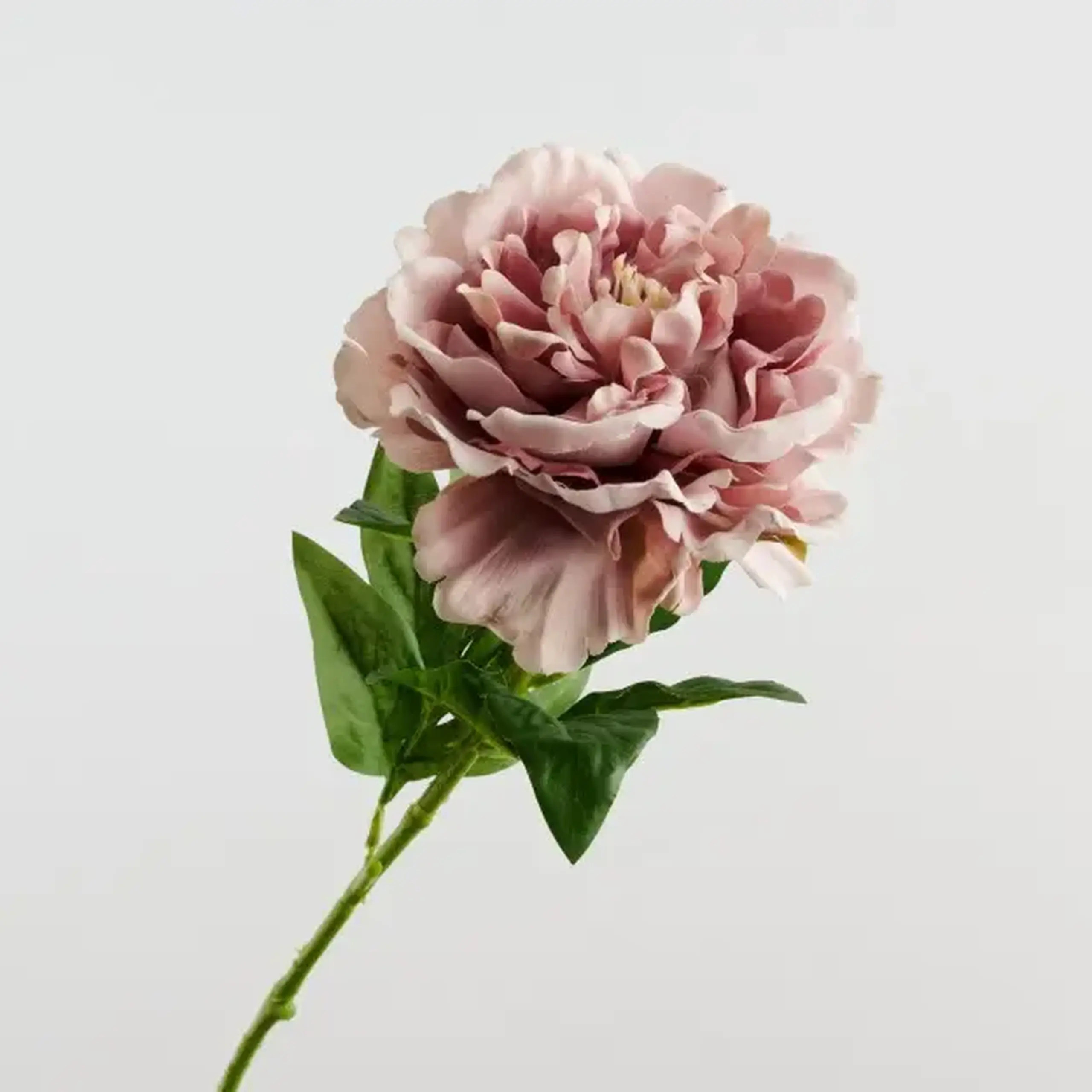 Crenguță decorativă DAHLIO KWIAT l pink
