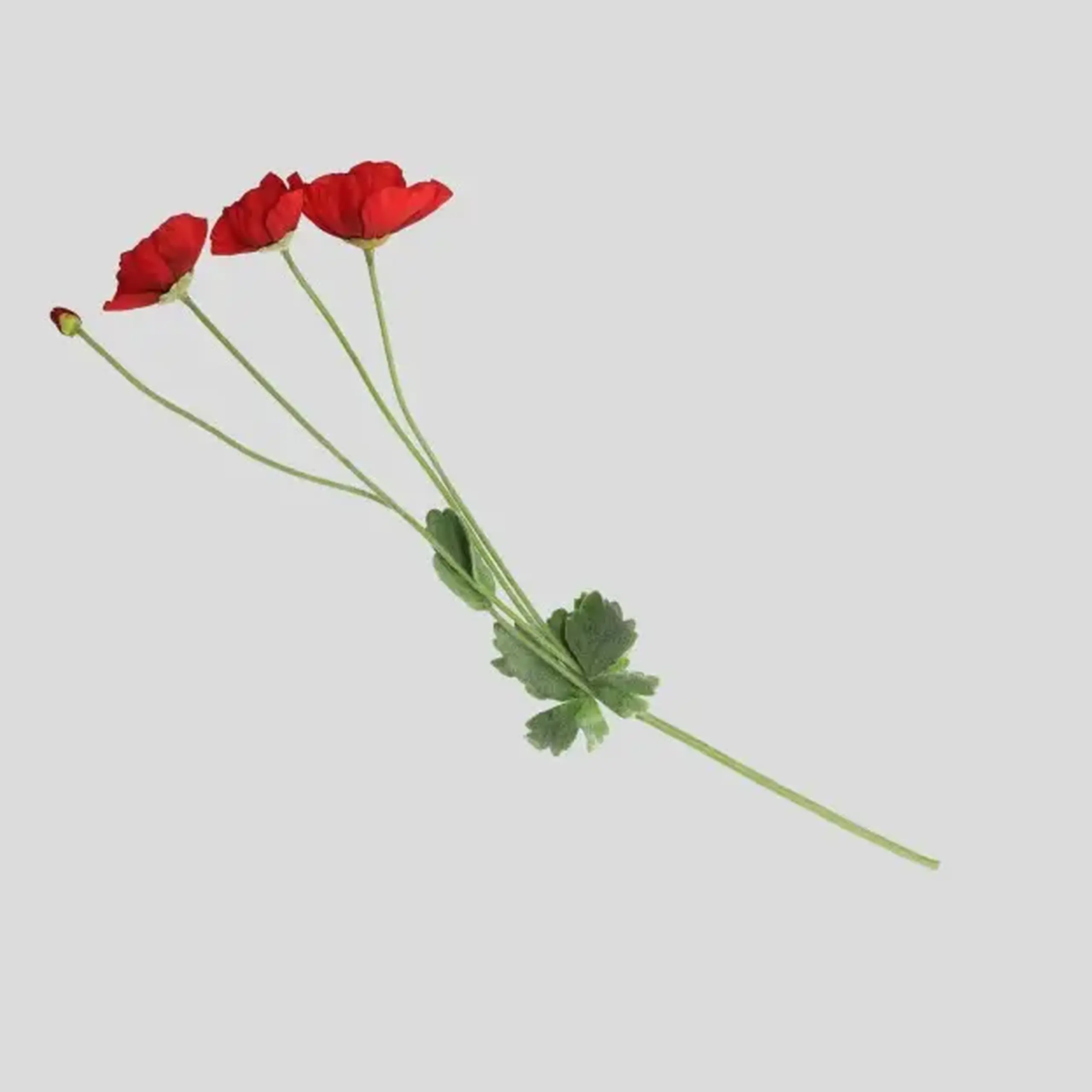 Crenguță decorativă POPPINO