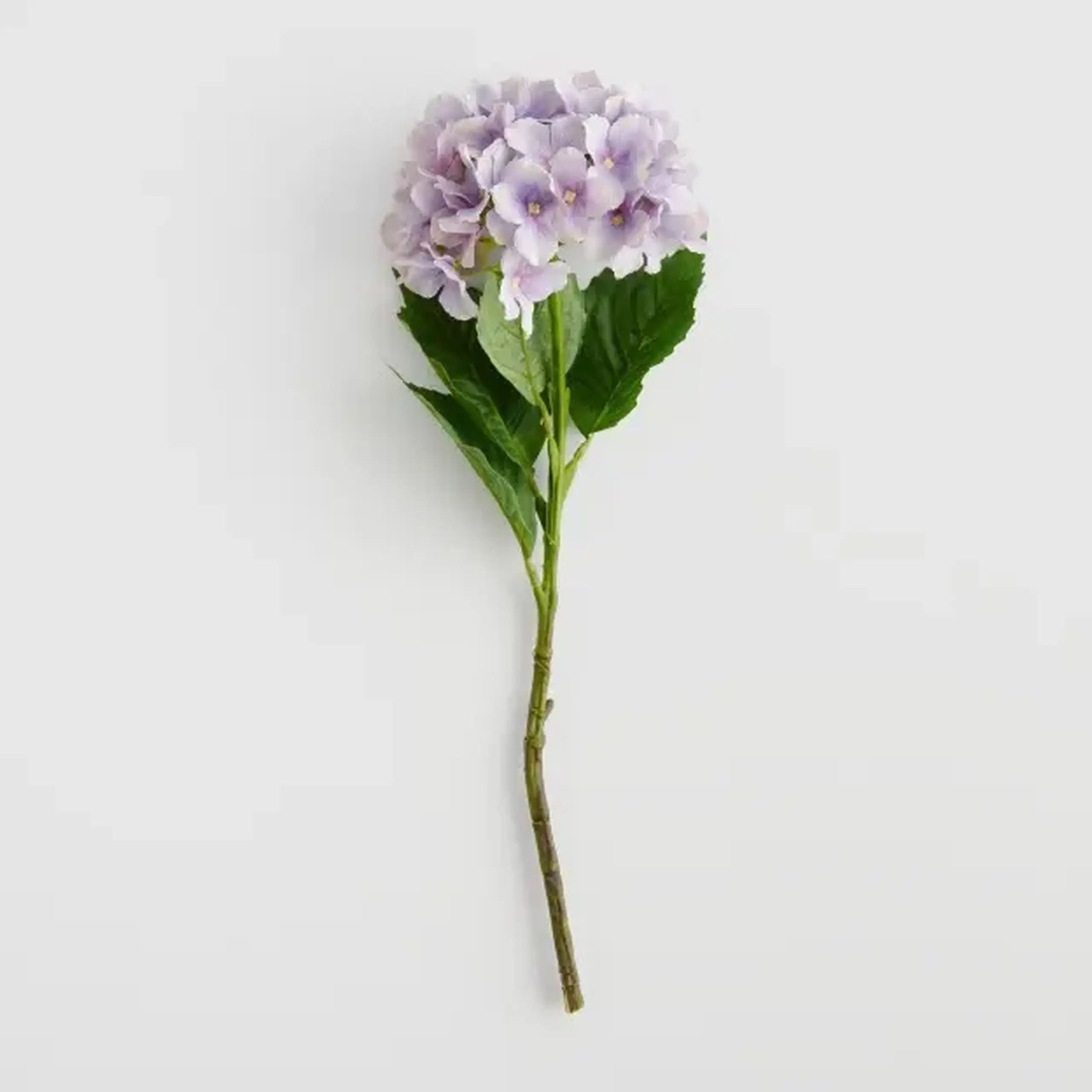 Crenguță decorativă ERANGI