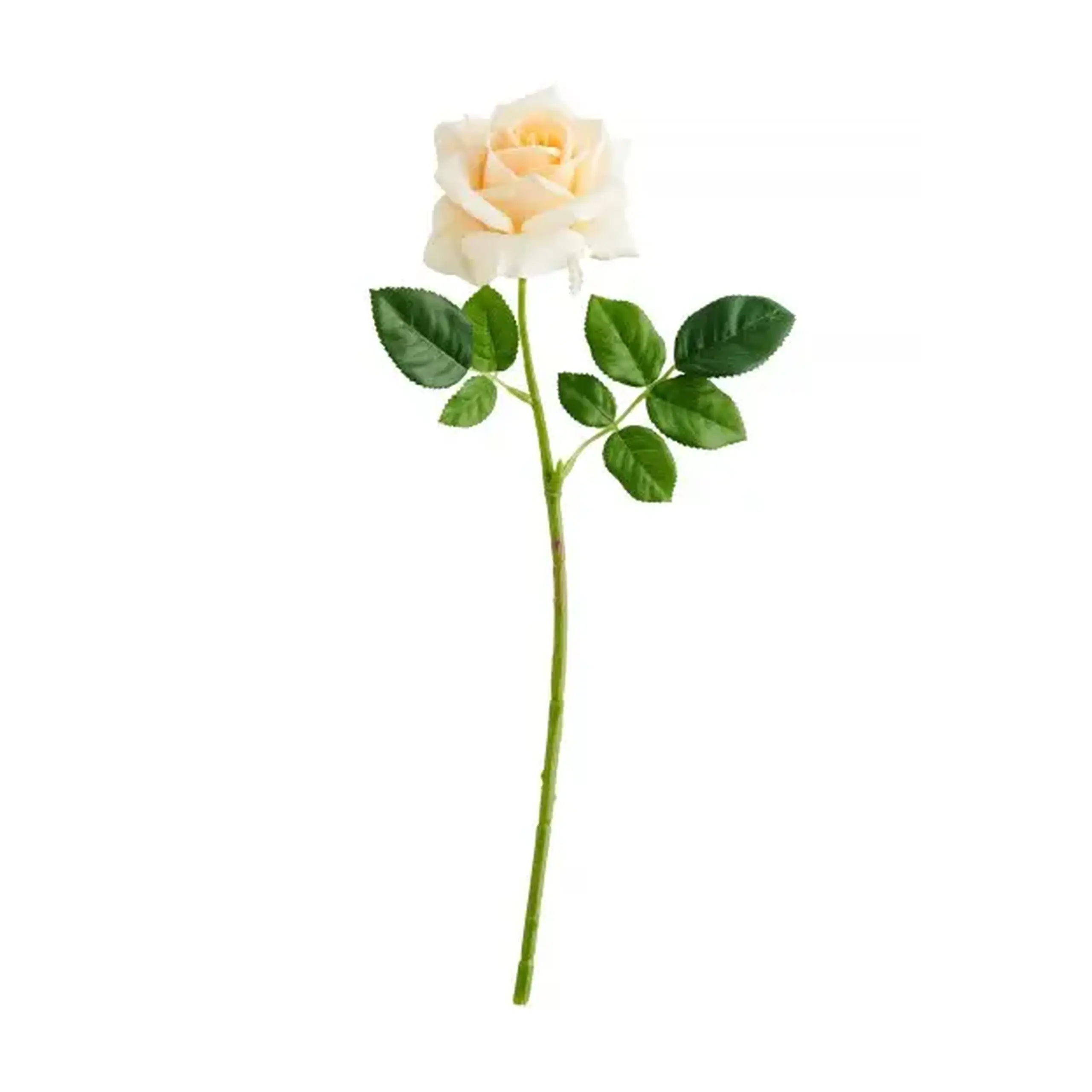 Crenguță decorativă ROZE