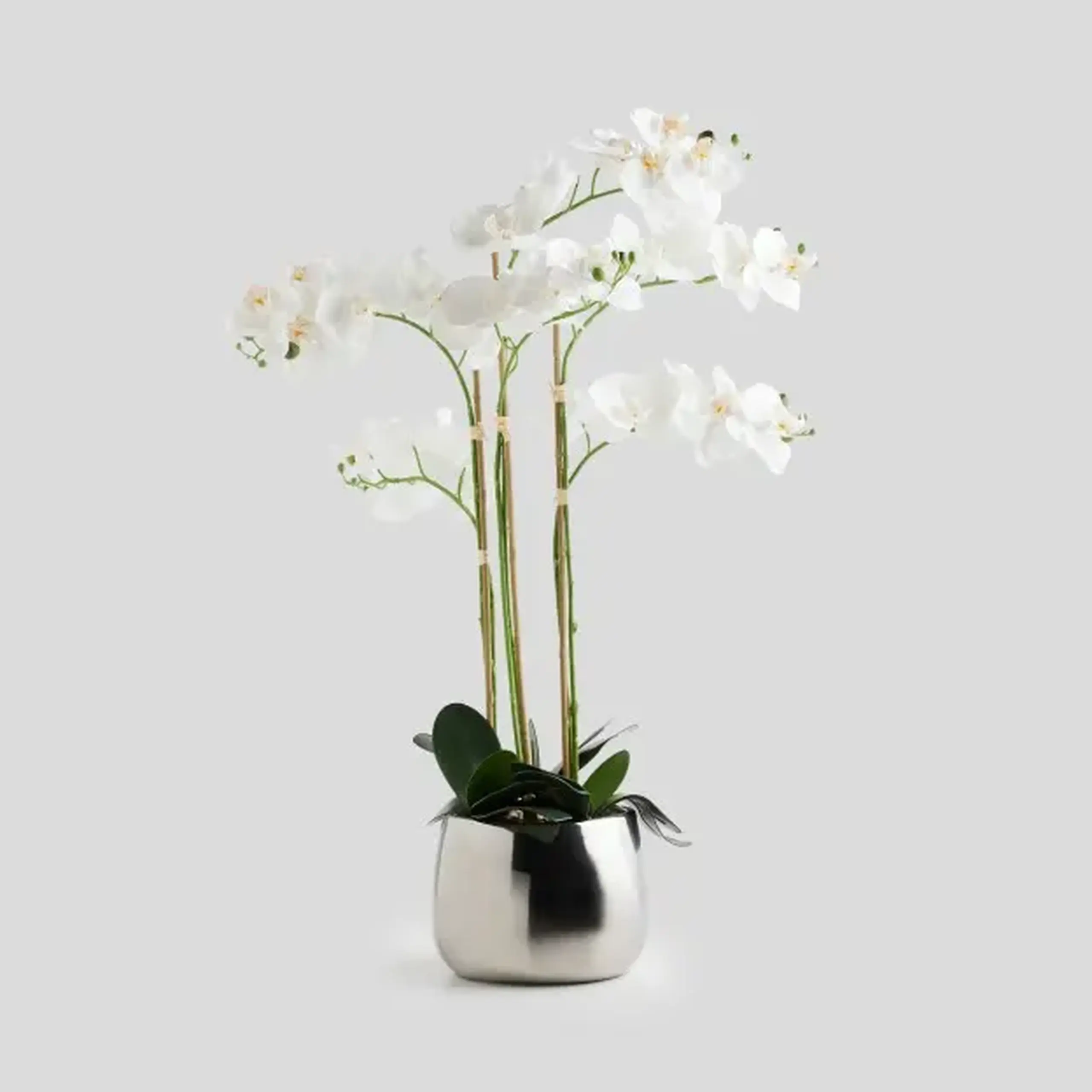 Compoziție florală ORCHIDE