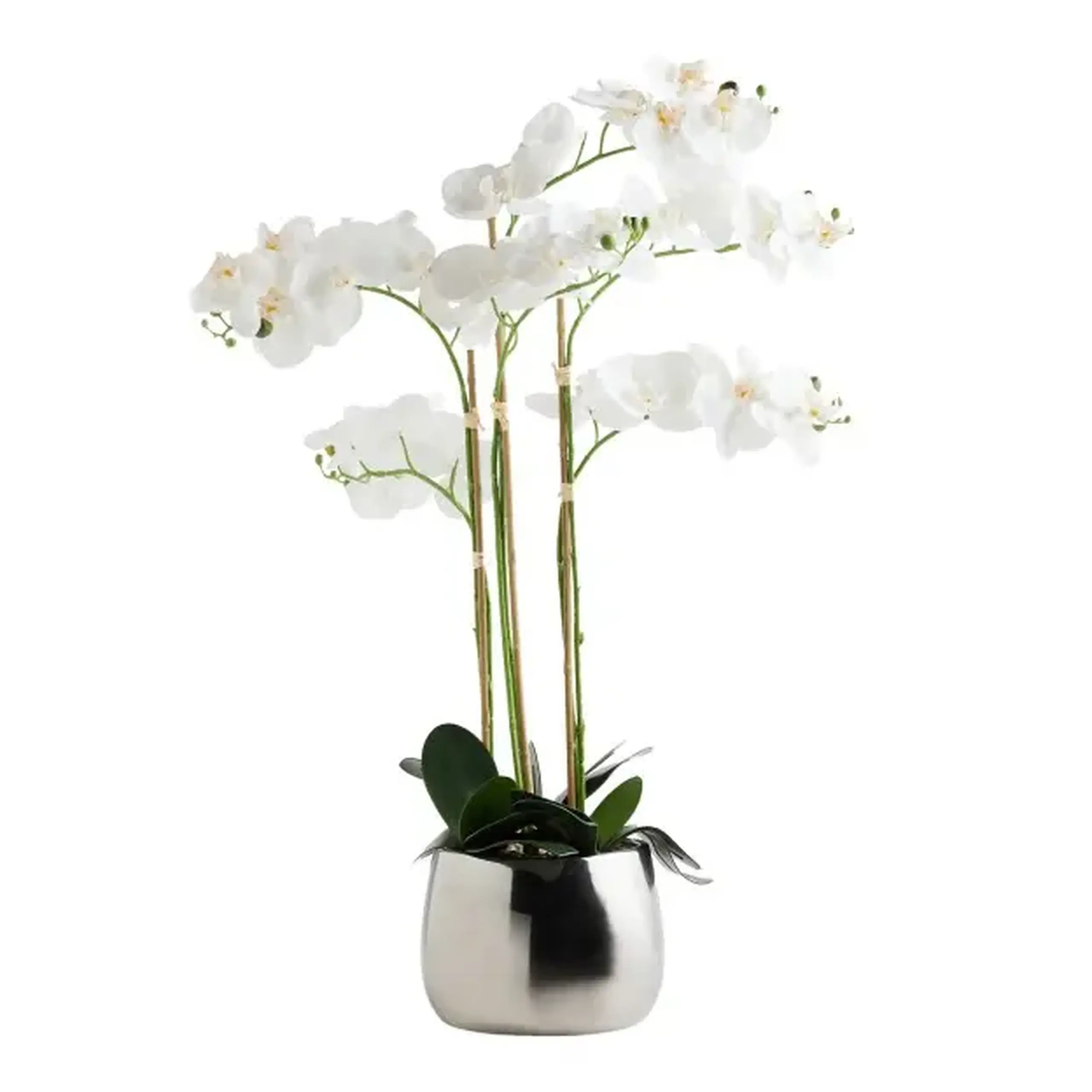 Compoziție florală ORCHIDE