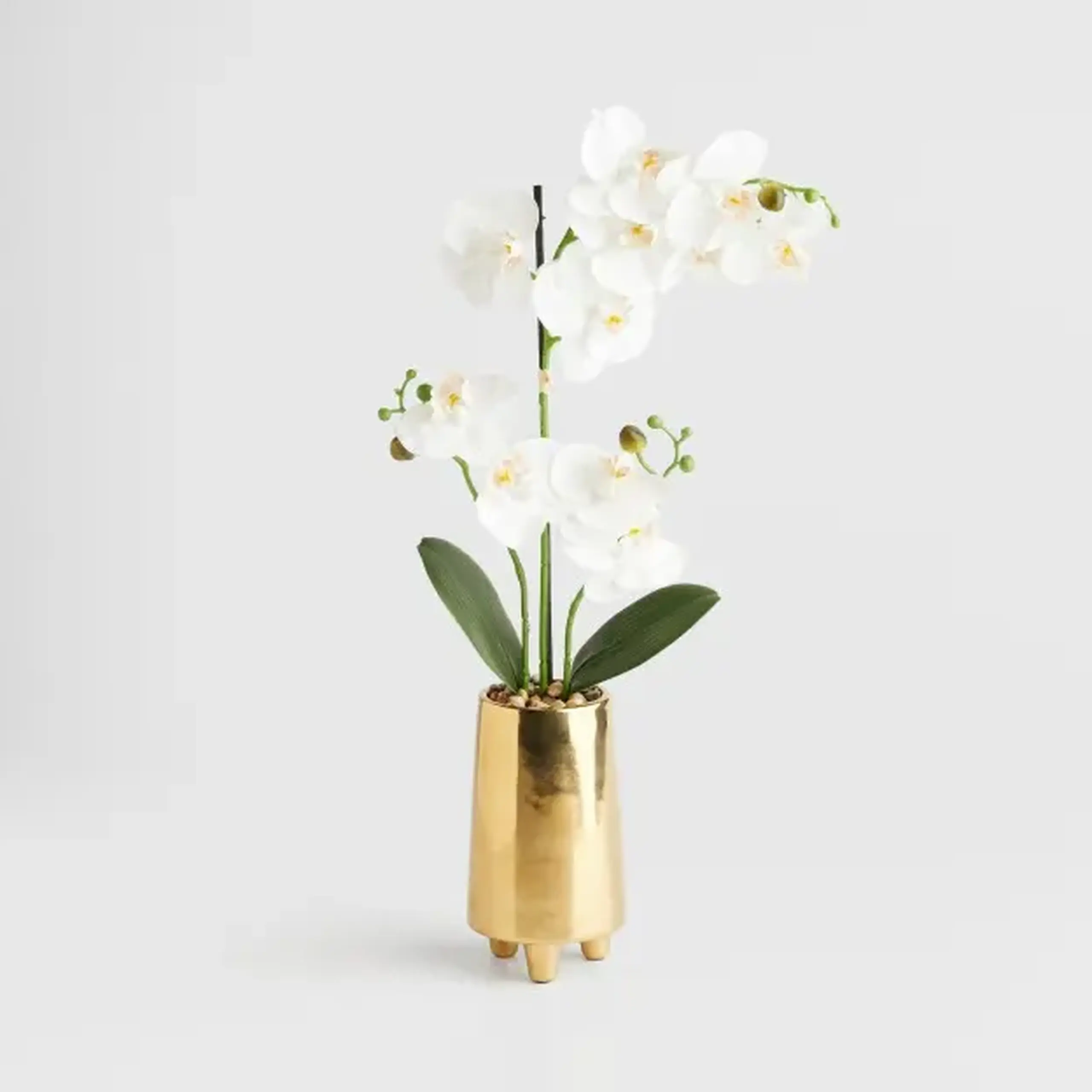 Compoziție florală ORCHESSO