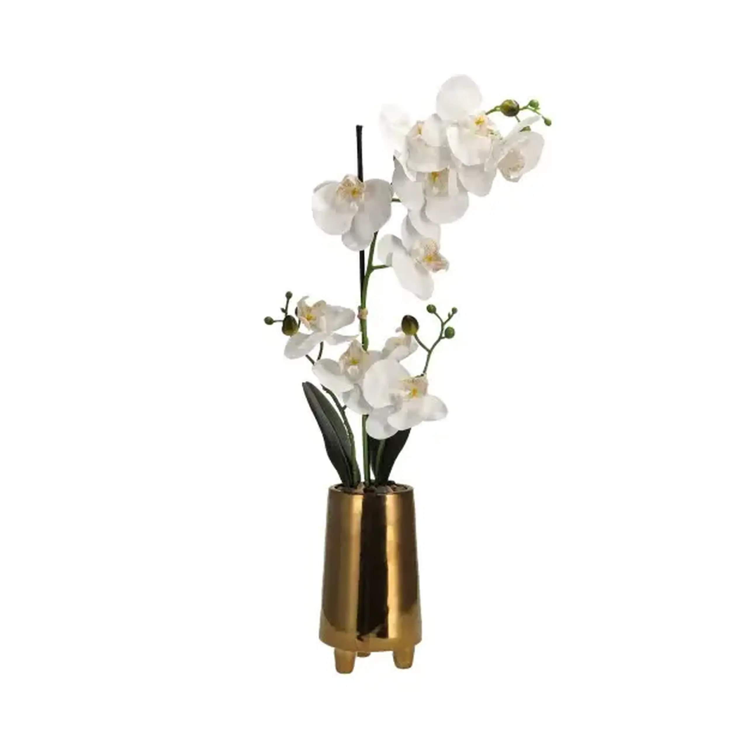 Compoziție florală ORCHESSO