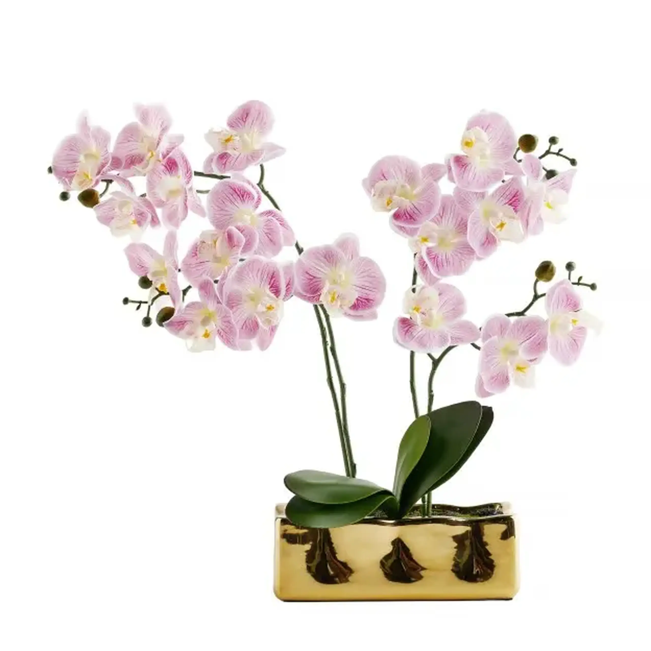 Compoziție florală ORCHIANUM