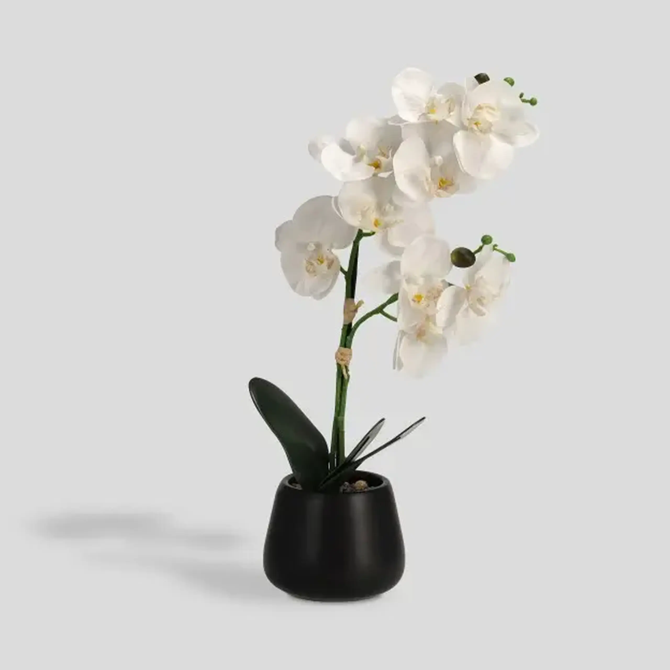 Compoziție florală ORCHISI