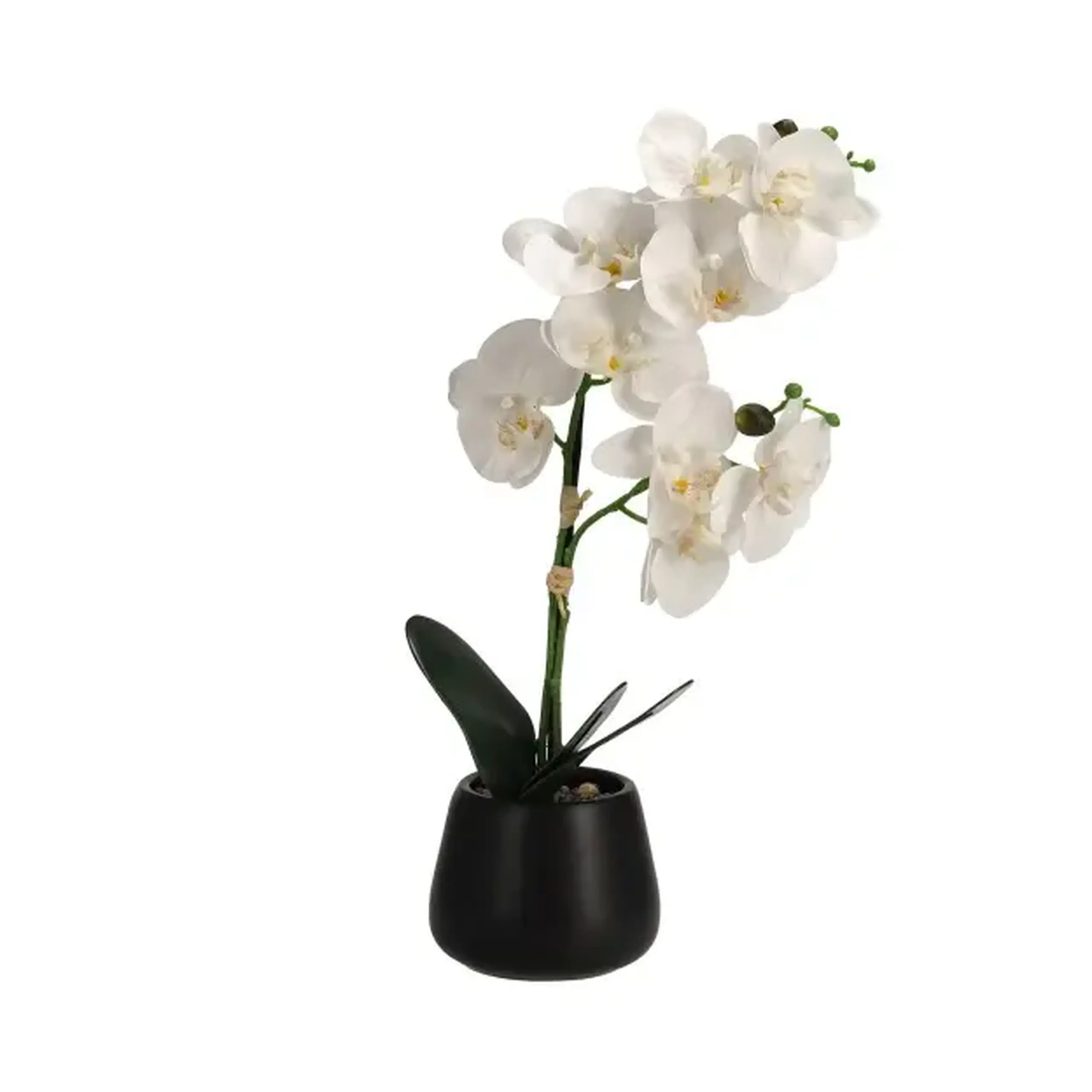 Compoziție florală ORCHISI