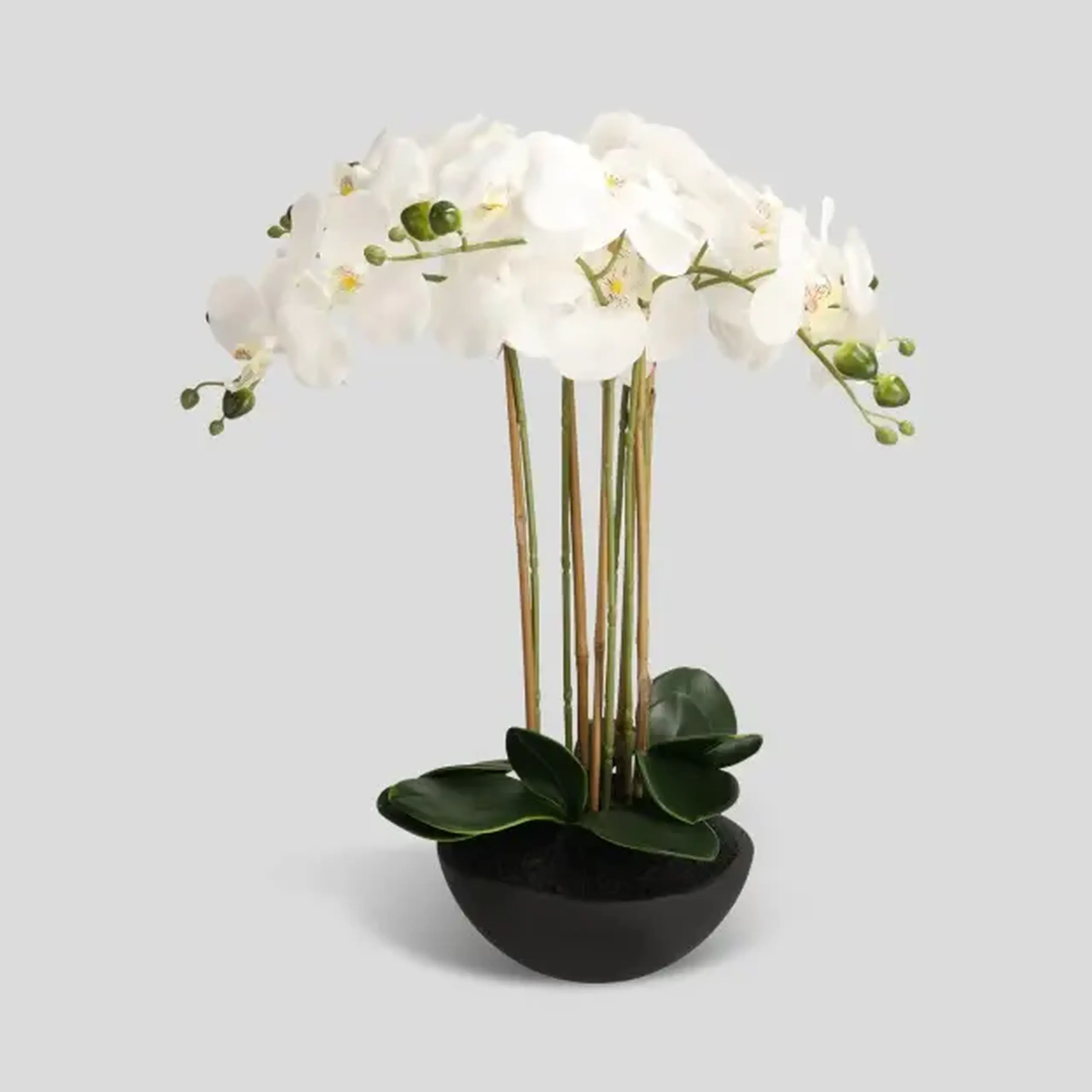 Compoziție florală ORCHIDIOS