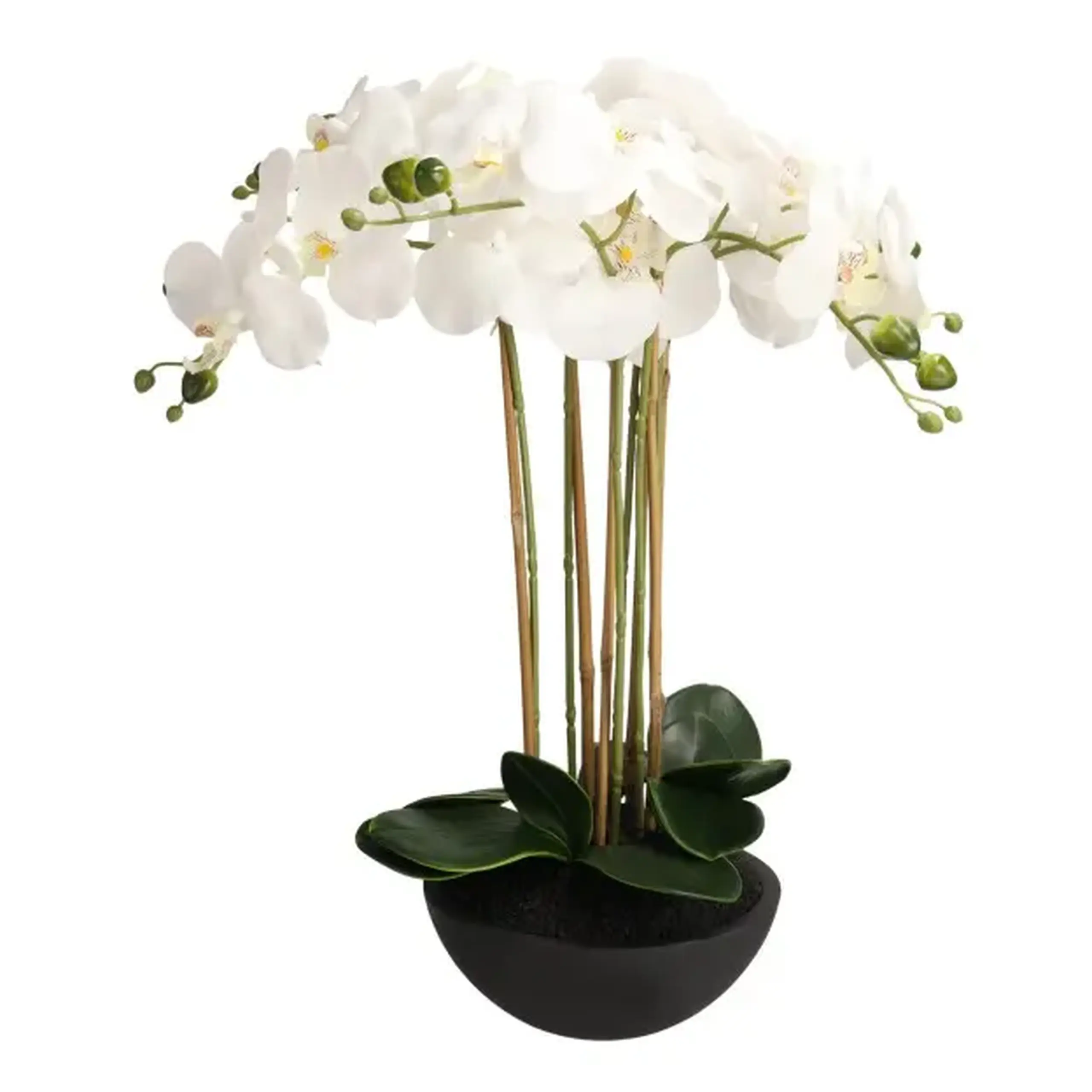 Compoziție florală ORCHIDIOS