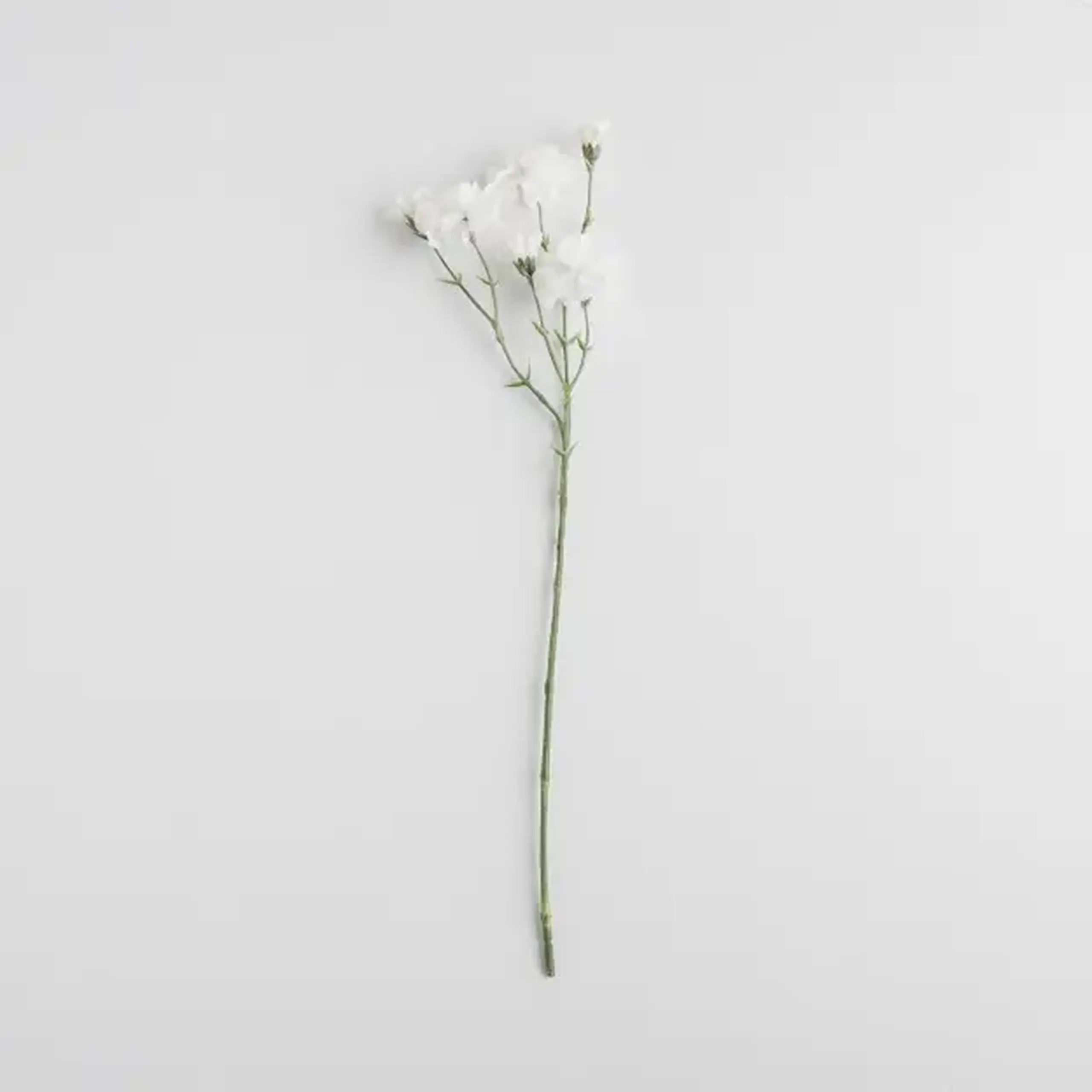 Compoziție florală BLOMMA