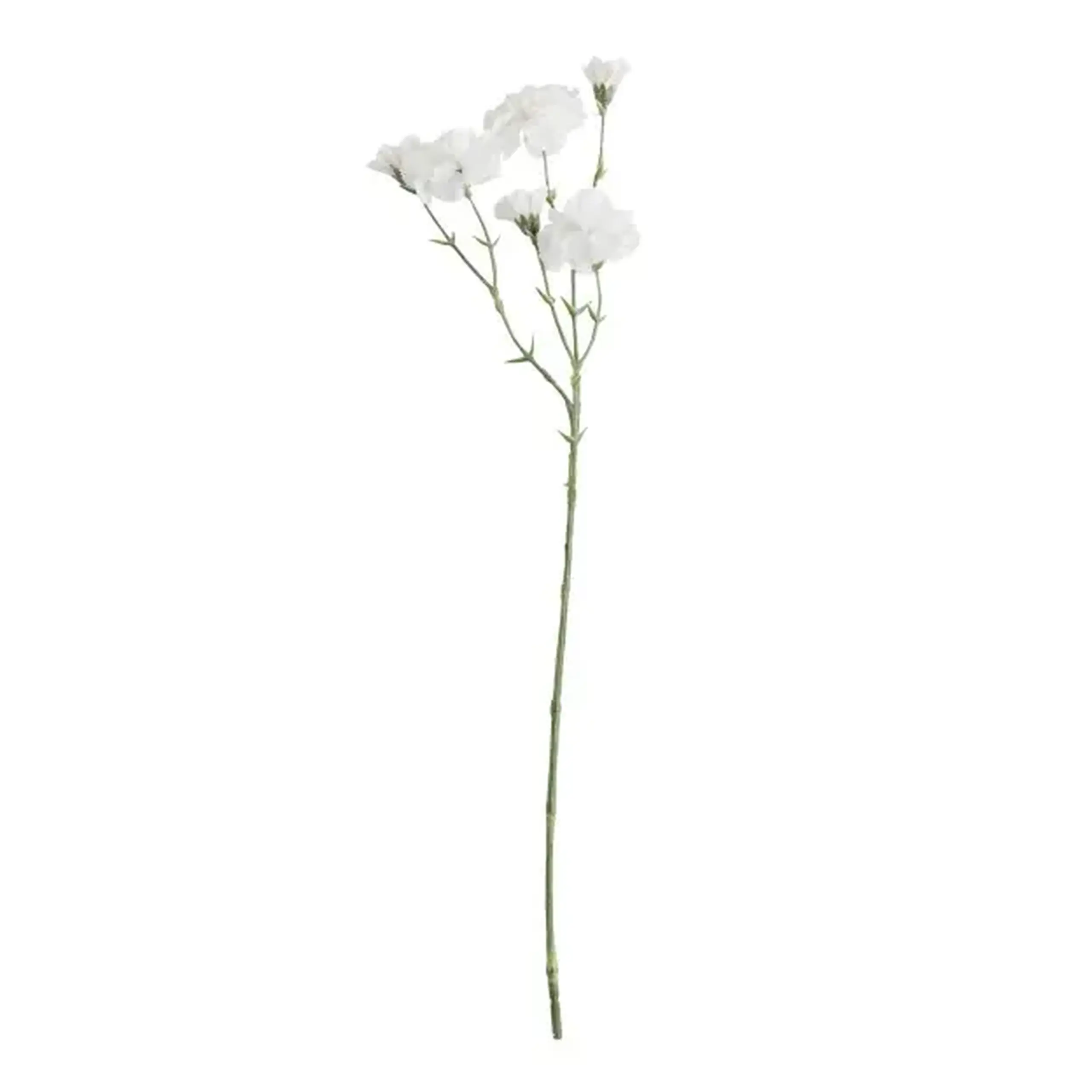 Compoziție florală BLOMMA