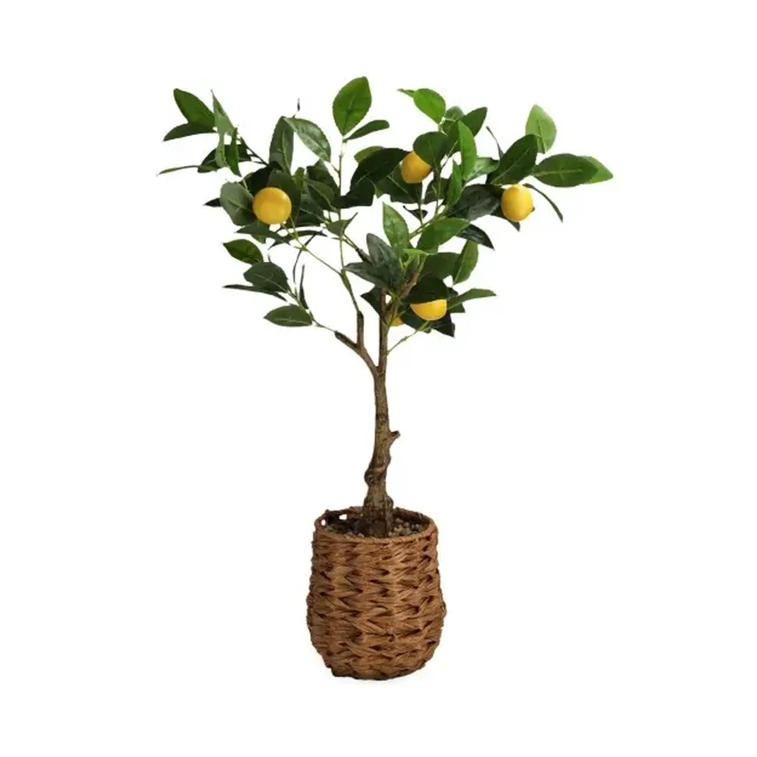 Compoziție florală LEMONO