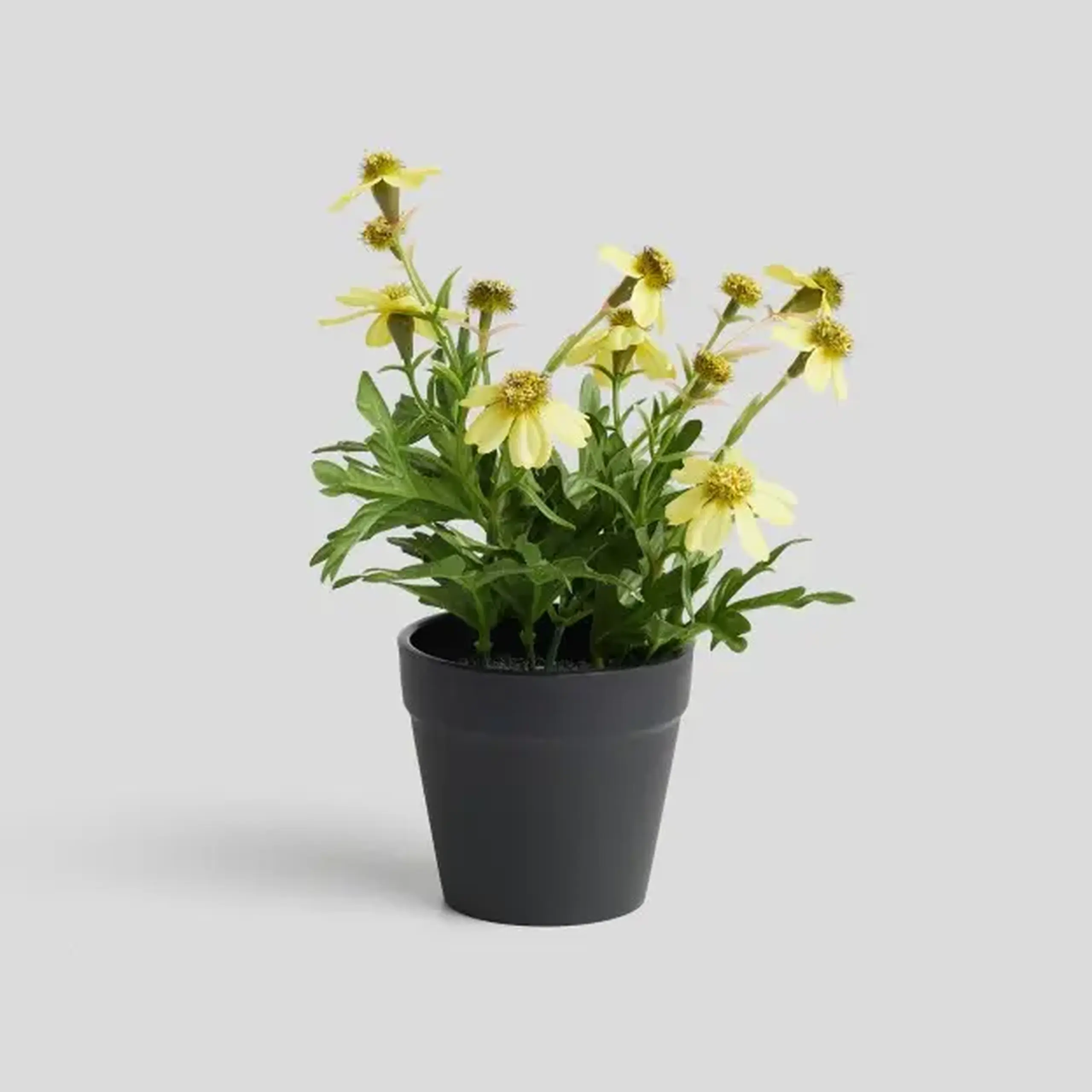 Compoziție florală LEKANTO