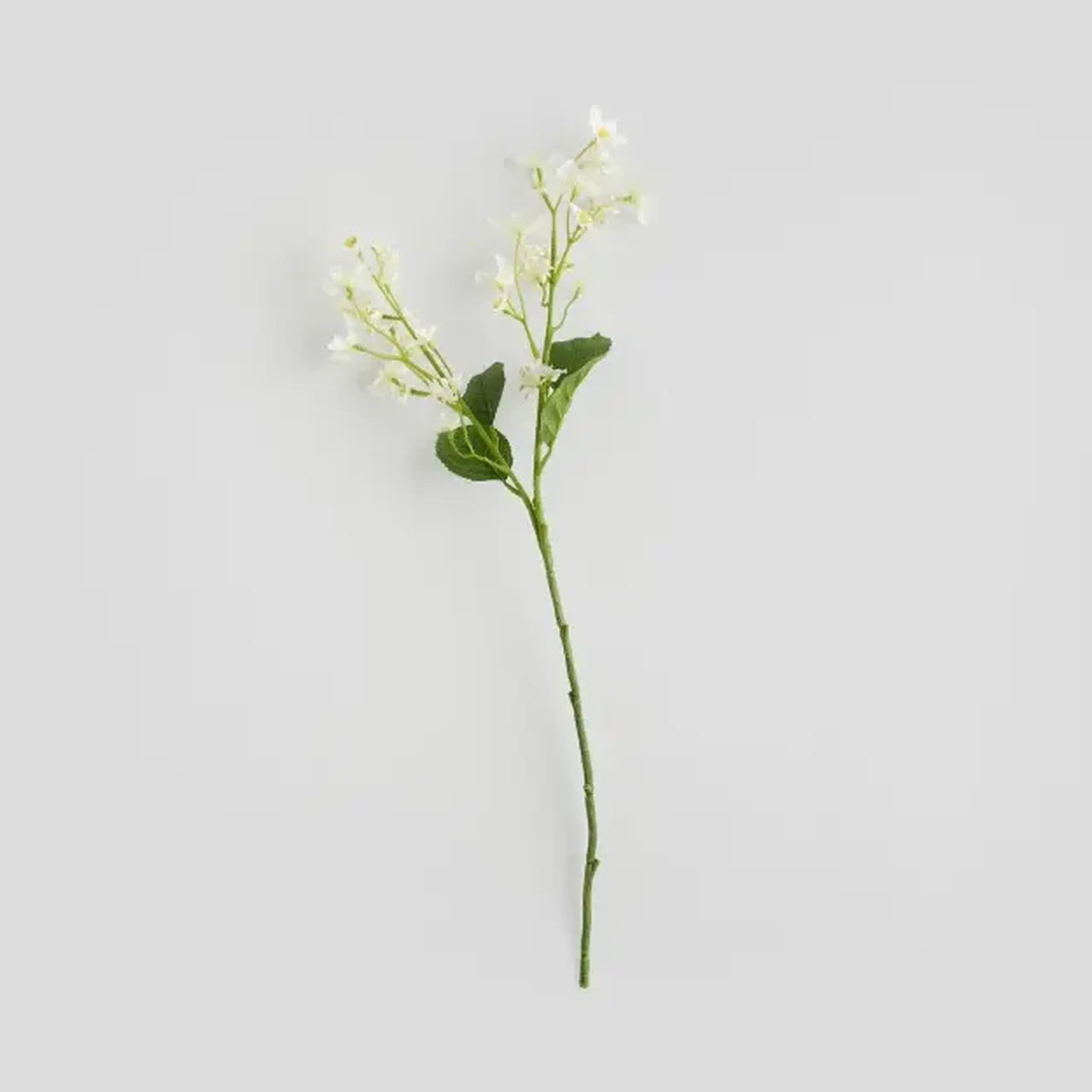 Compoziție florală BLOMST