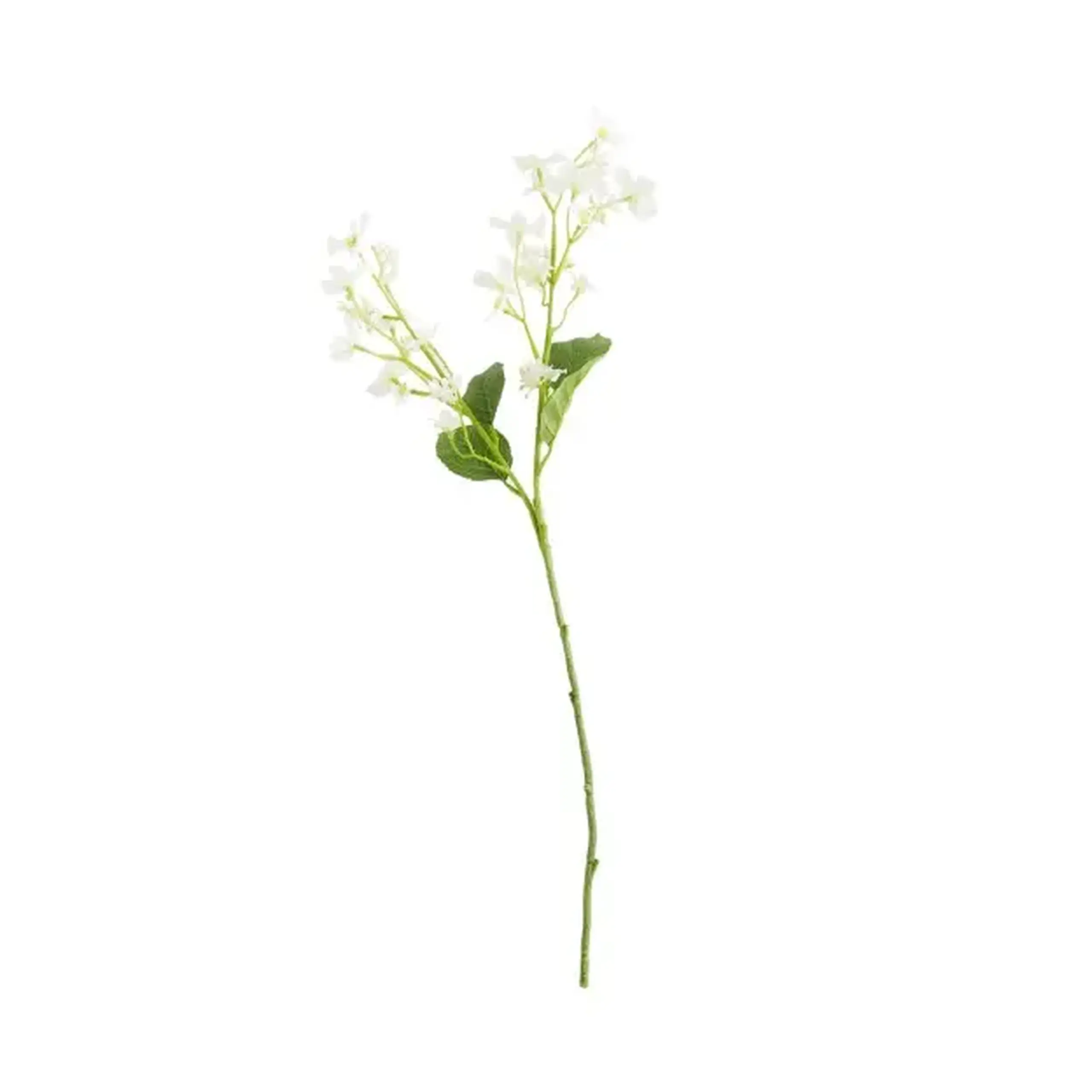 Compoziție florală BLOMST