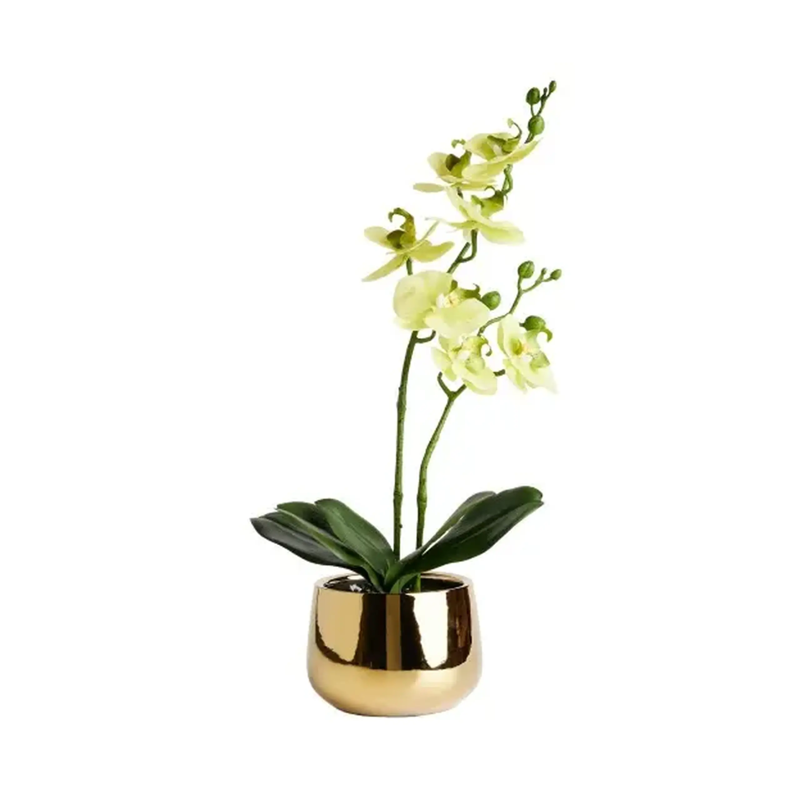 Compoziție florală ORCHANA