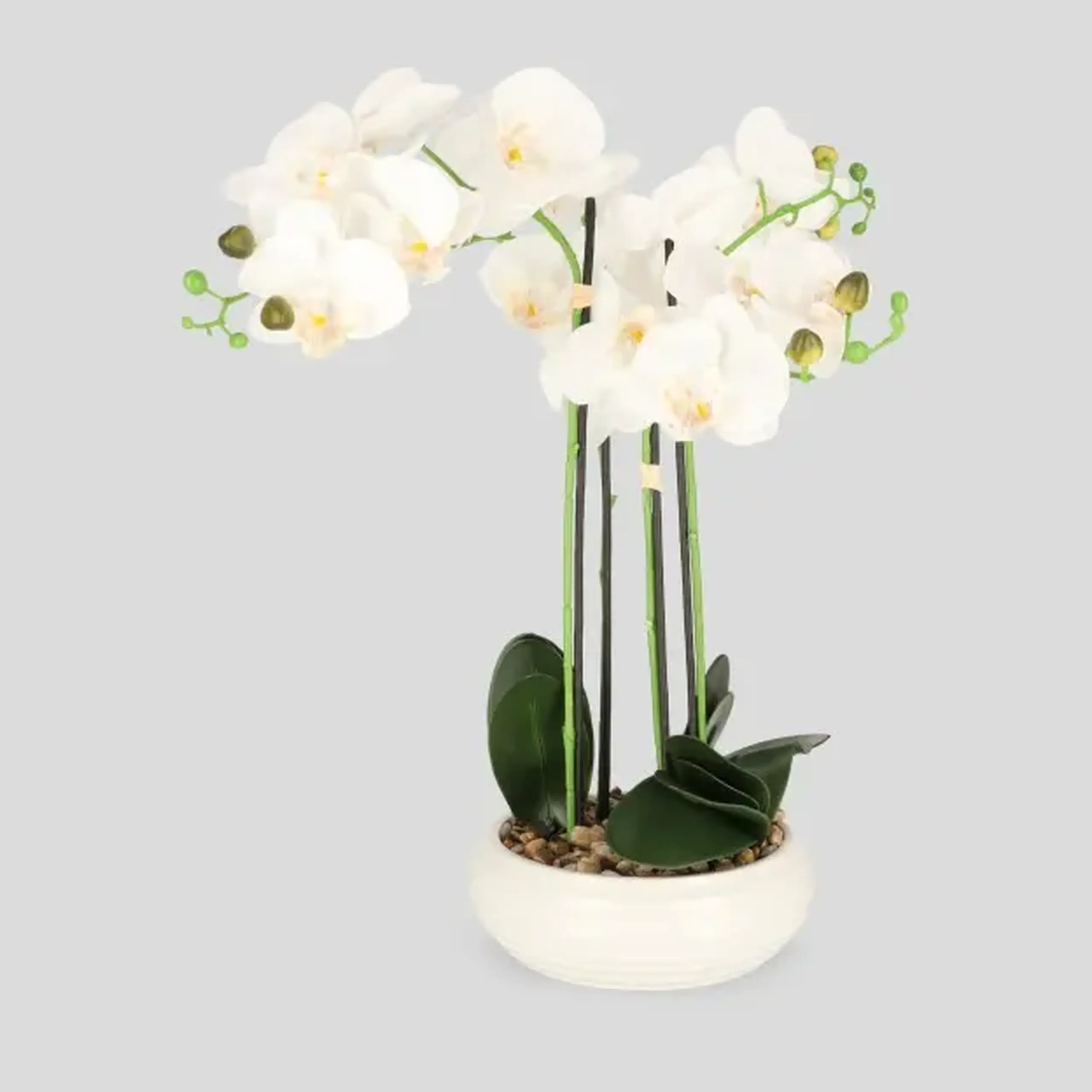 Compoziție florală ORCHIDIA