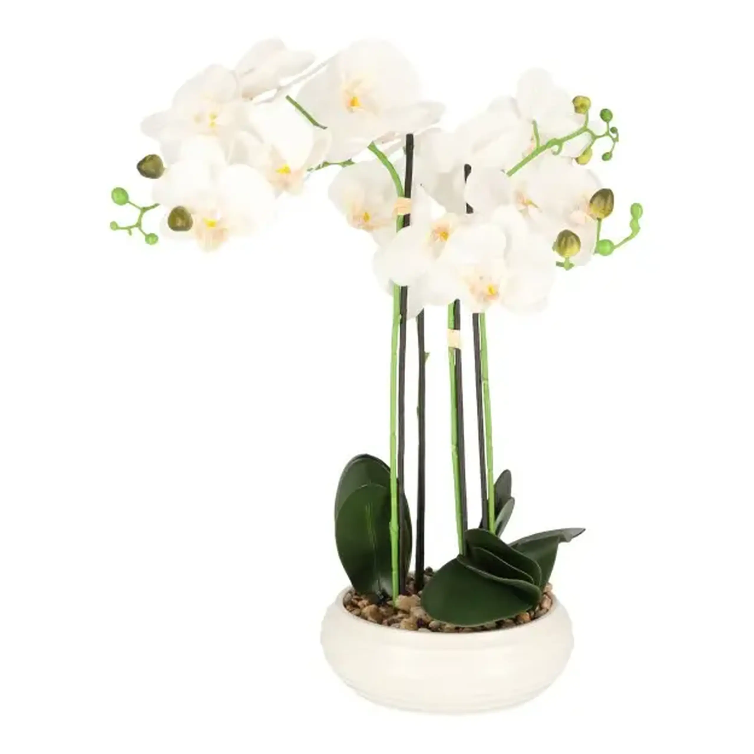 Compoziție florală ORCHIDIA