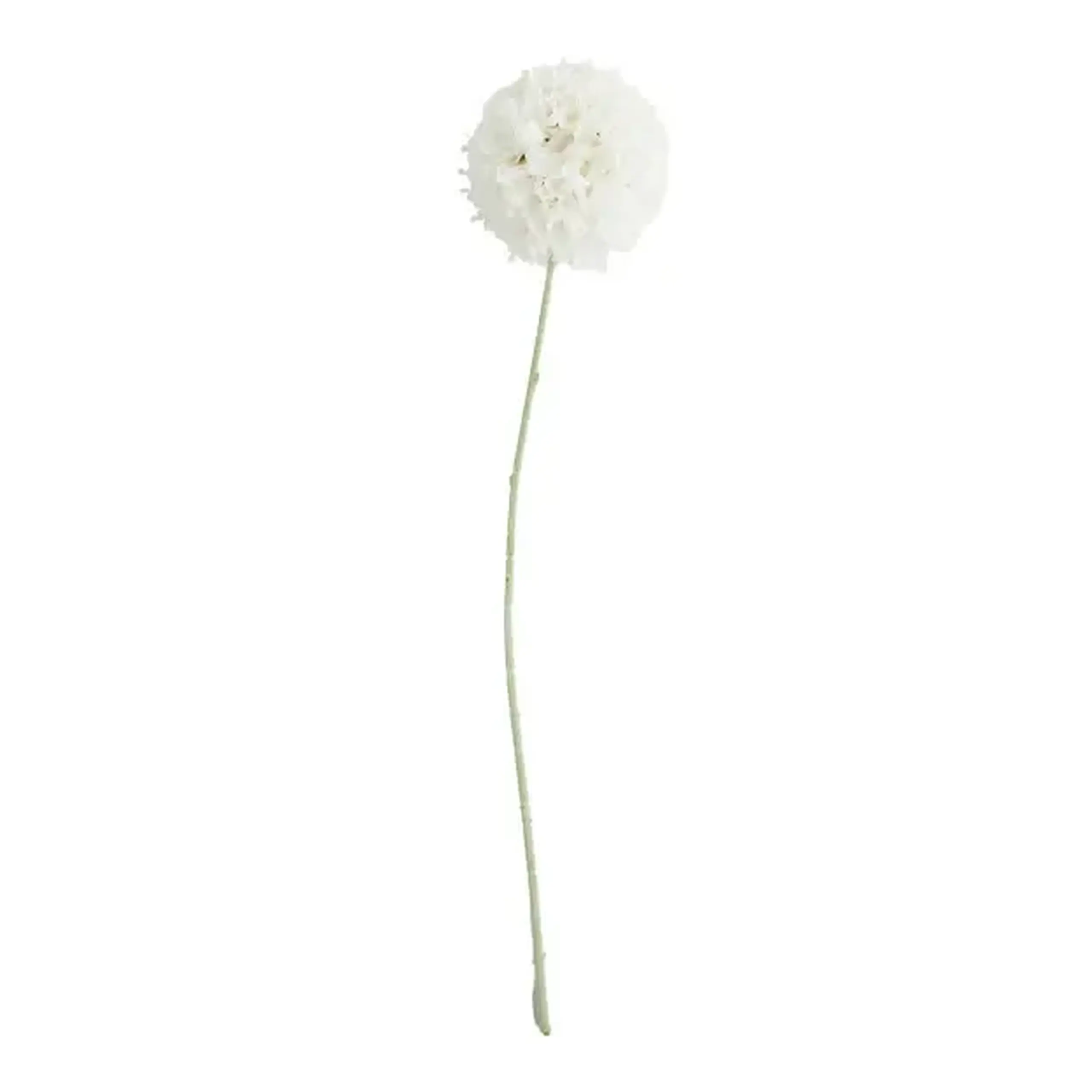 Crenguță decorativă GARLICCI