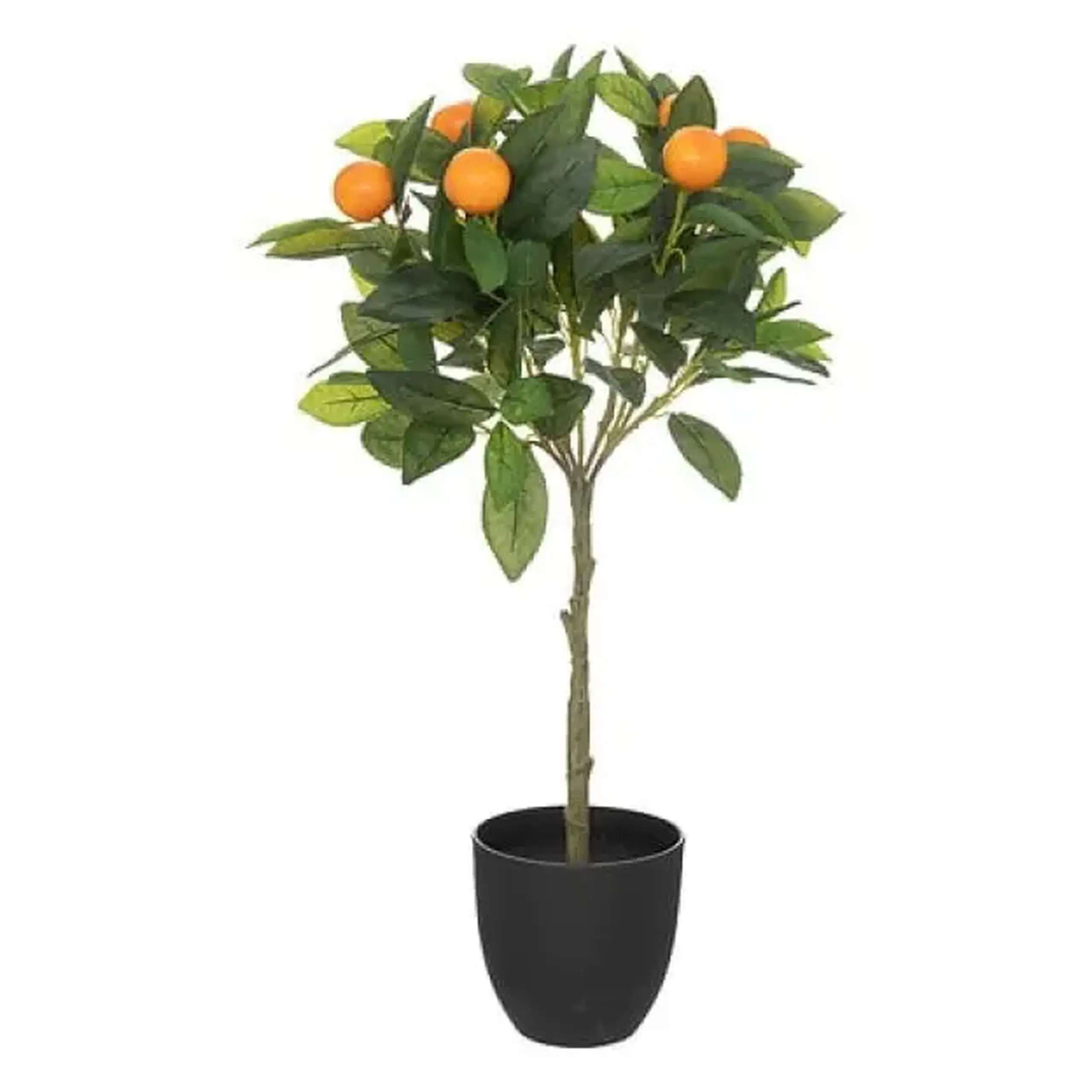 Compoziție florata ORANGER H58