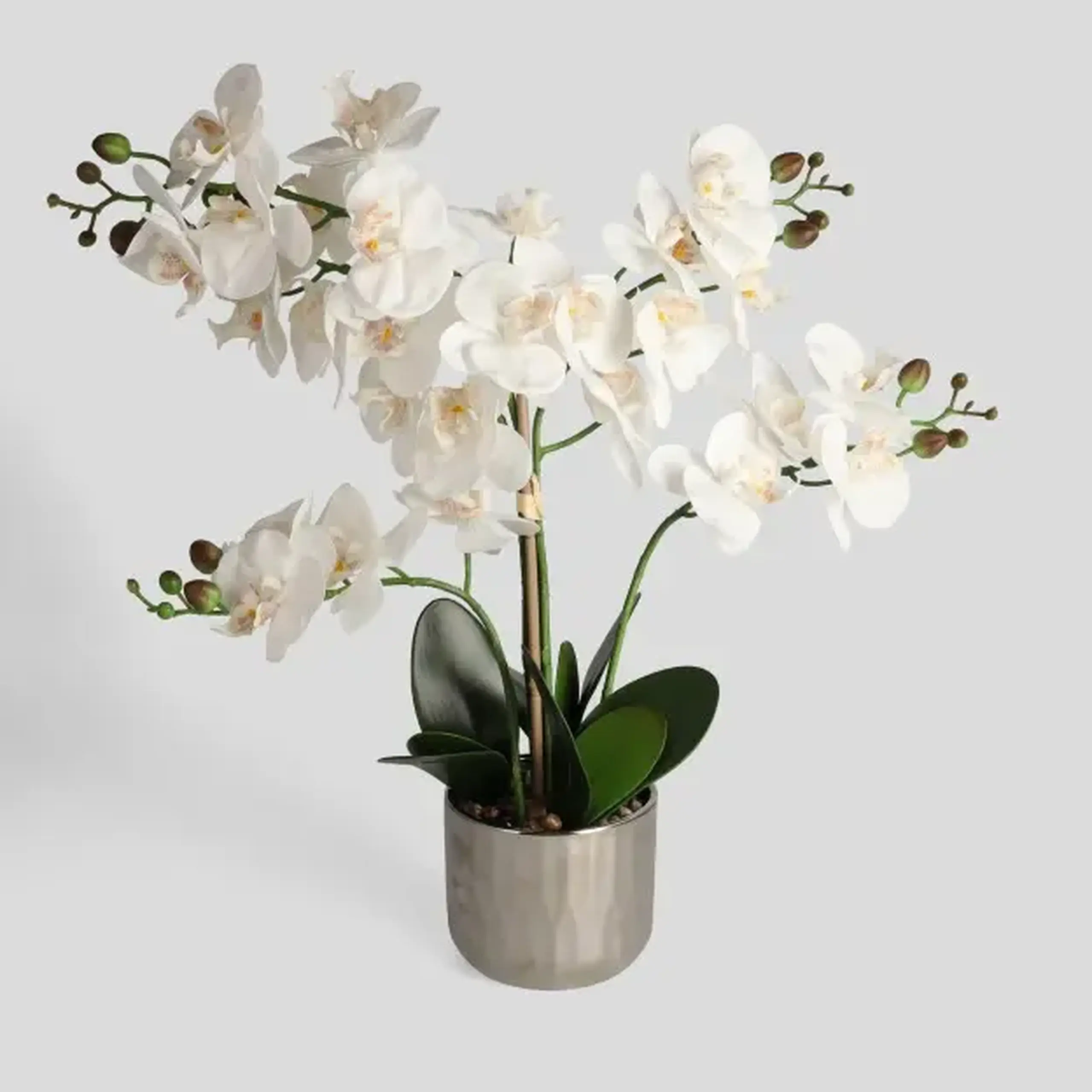 Compoziție florală ORCHIANOS