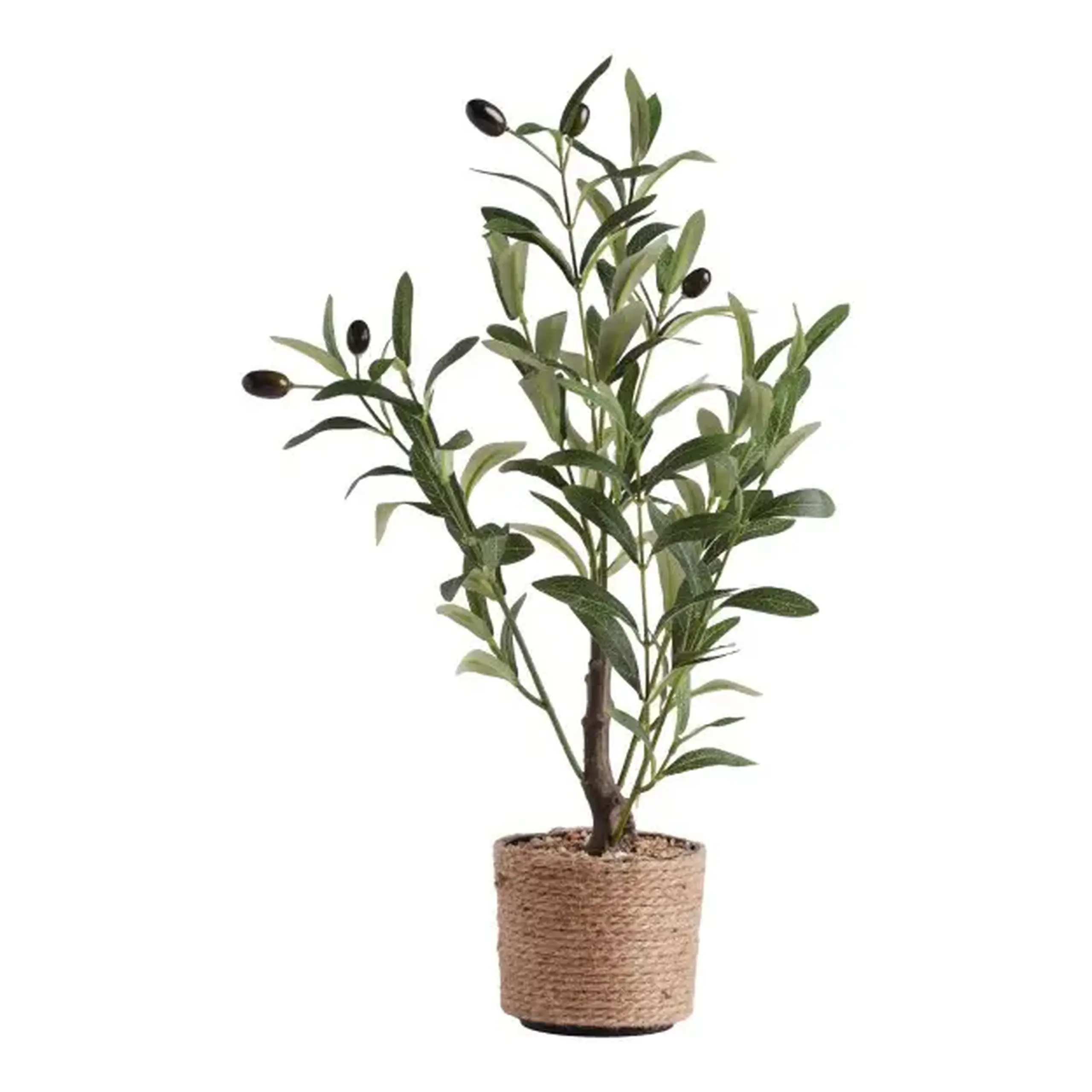 Floare decorativă OLIVESO